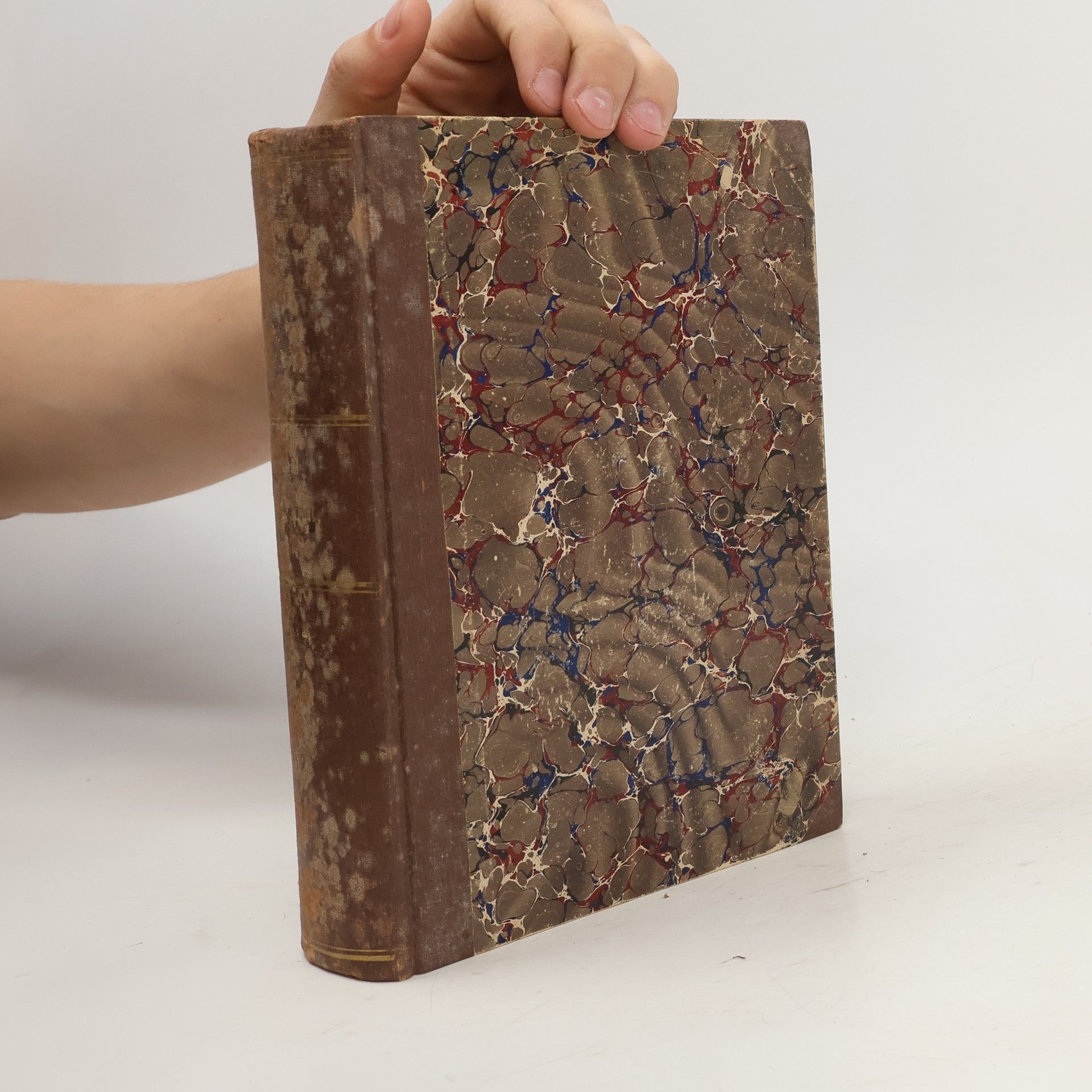 Alfred Damm Neura. Erster Band