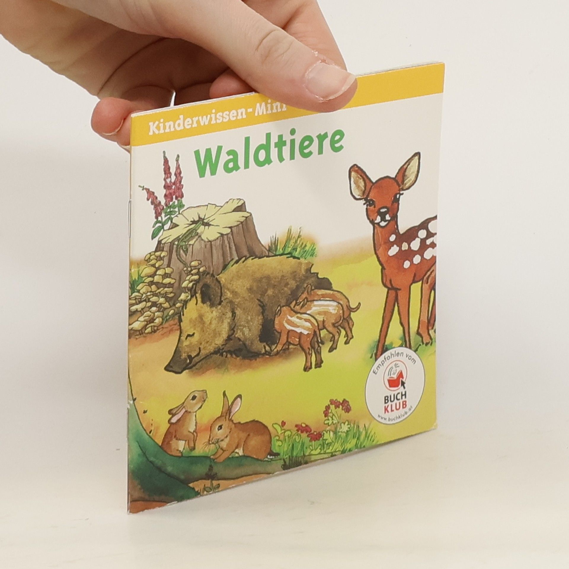 Autorenkollektiv Kinderwissen-Mini: Waldtiere