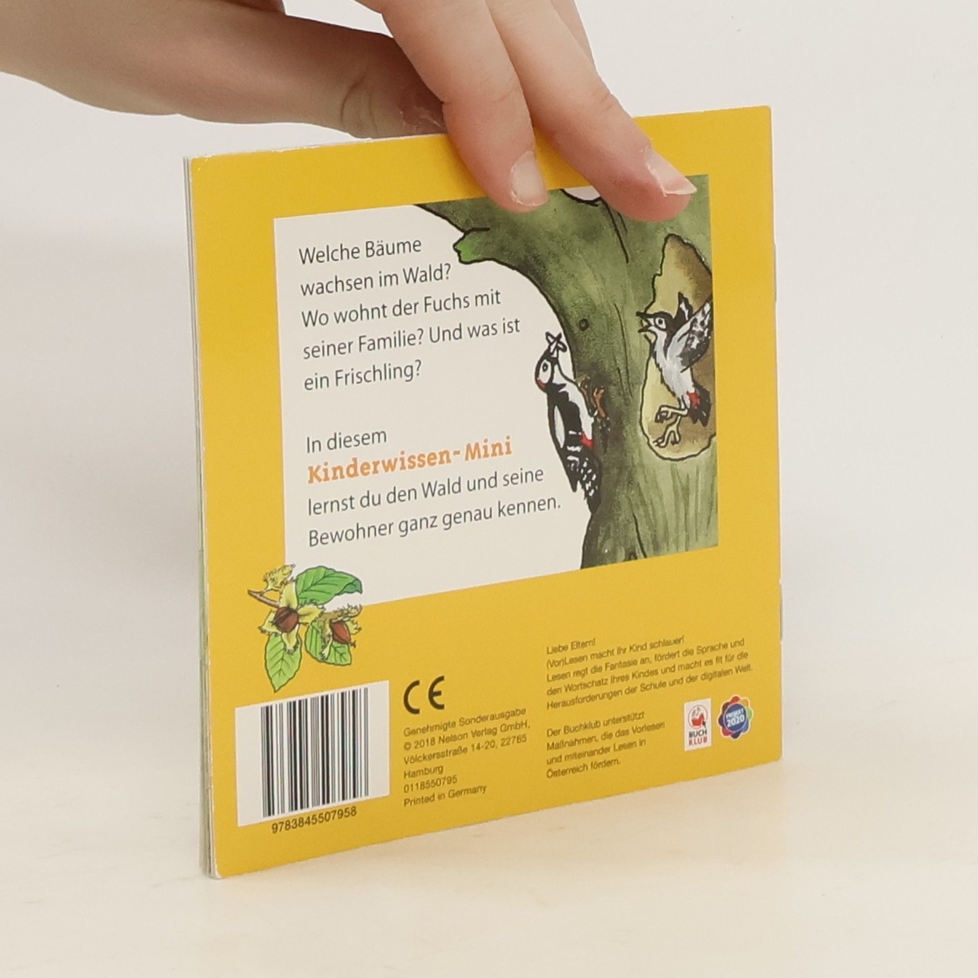 Autorenkollektiv Kinderwissen-Mini: Waldtiere