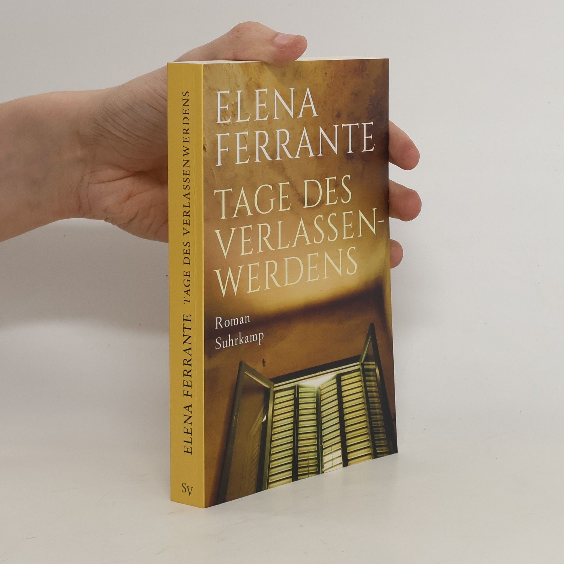 Elena Ferrante Tage des Verlassenwerdens