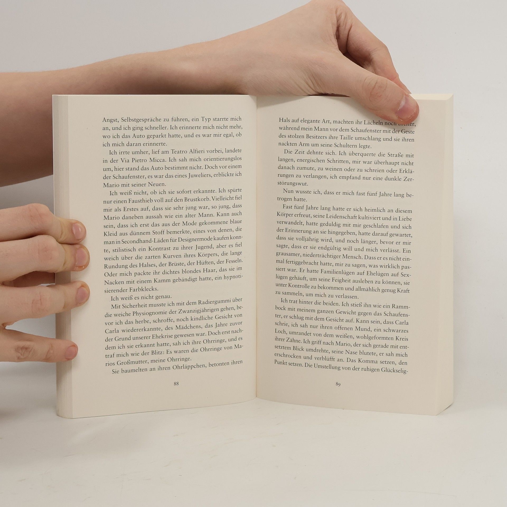 Elena Ferrante Tage des Verlassenwerdens