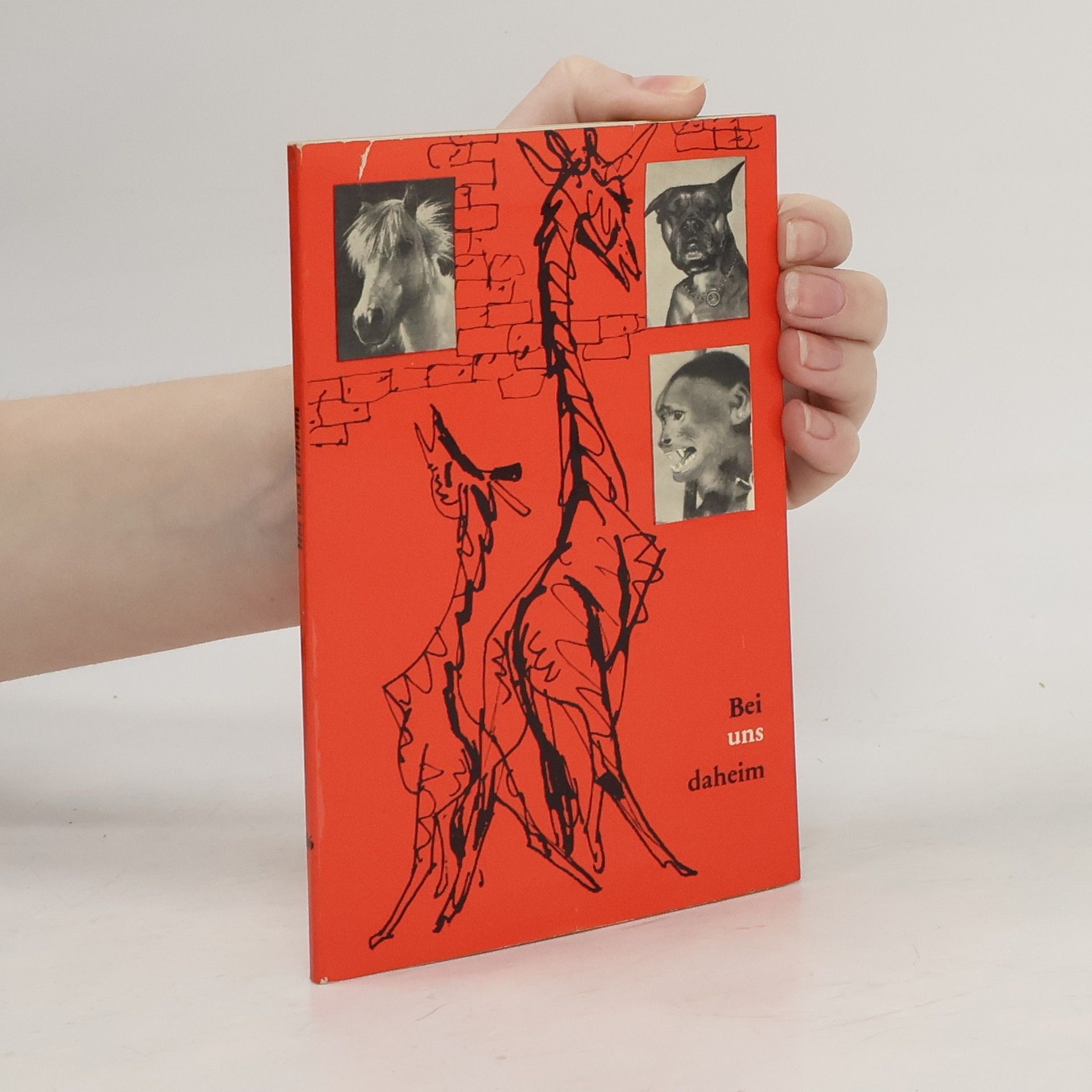 Autores varios Bei uns daheim