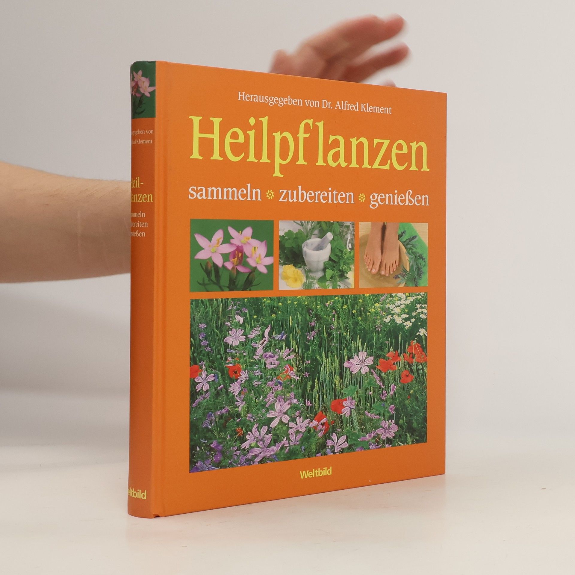 Alfred Klement Heilpflanzen. Sammeln, zubereiten, genießen