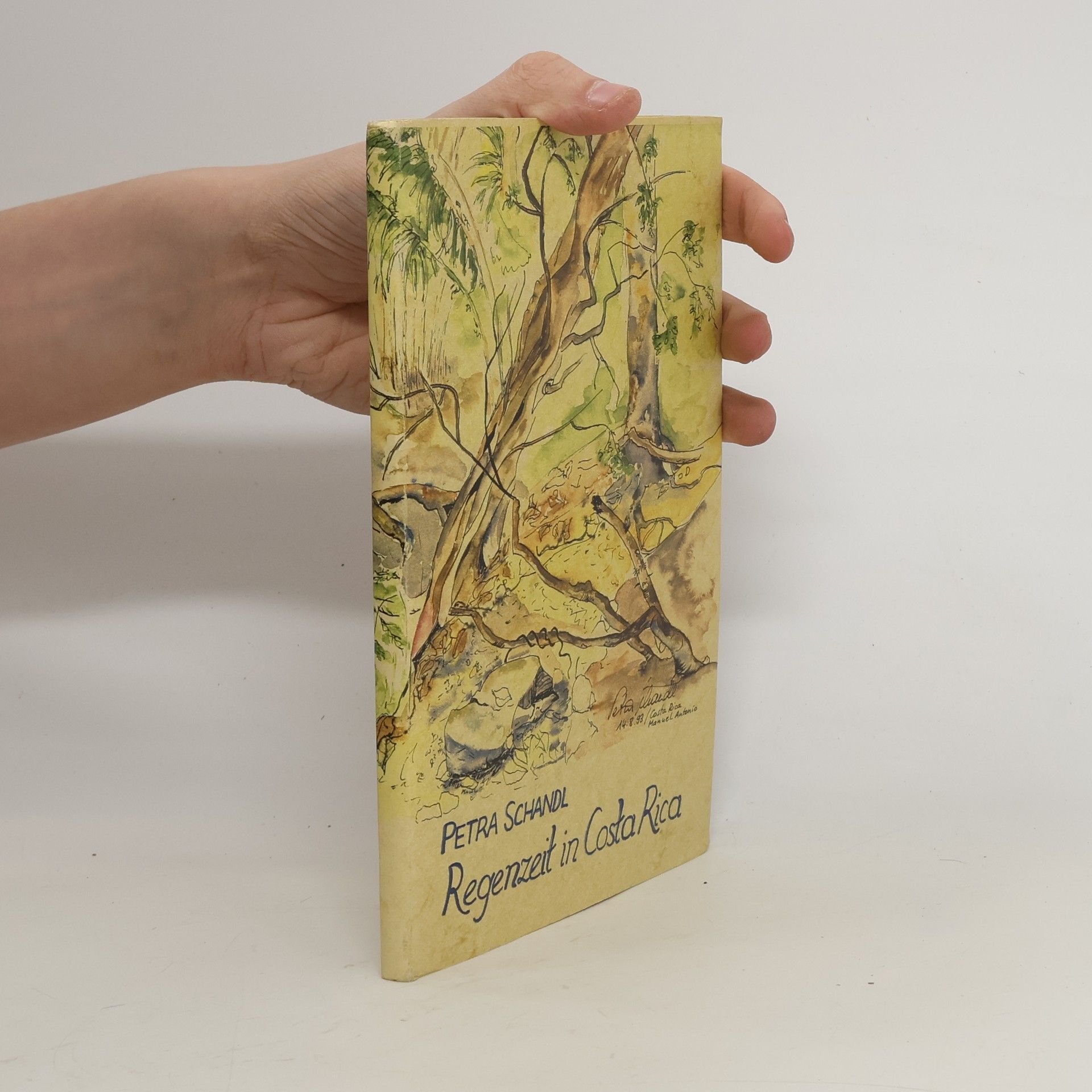 Petra Schandl Regenzeit in Costa Rica