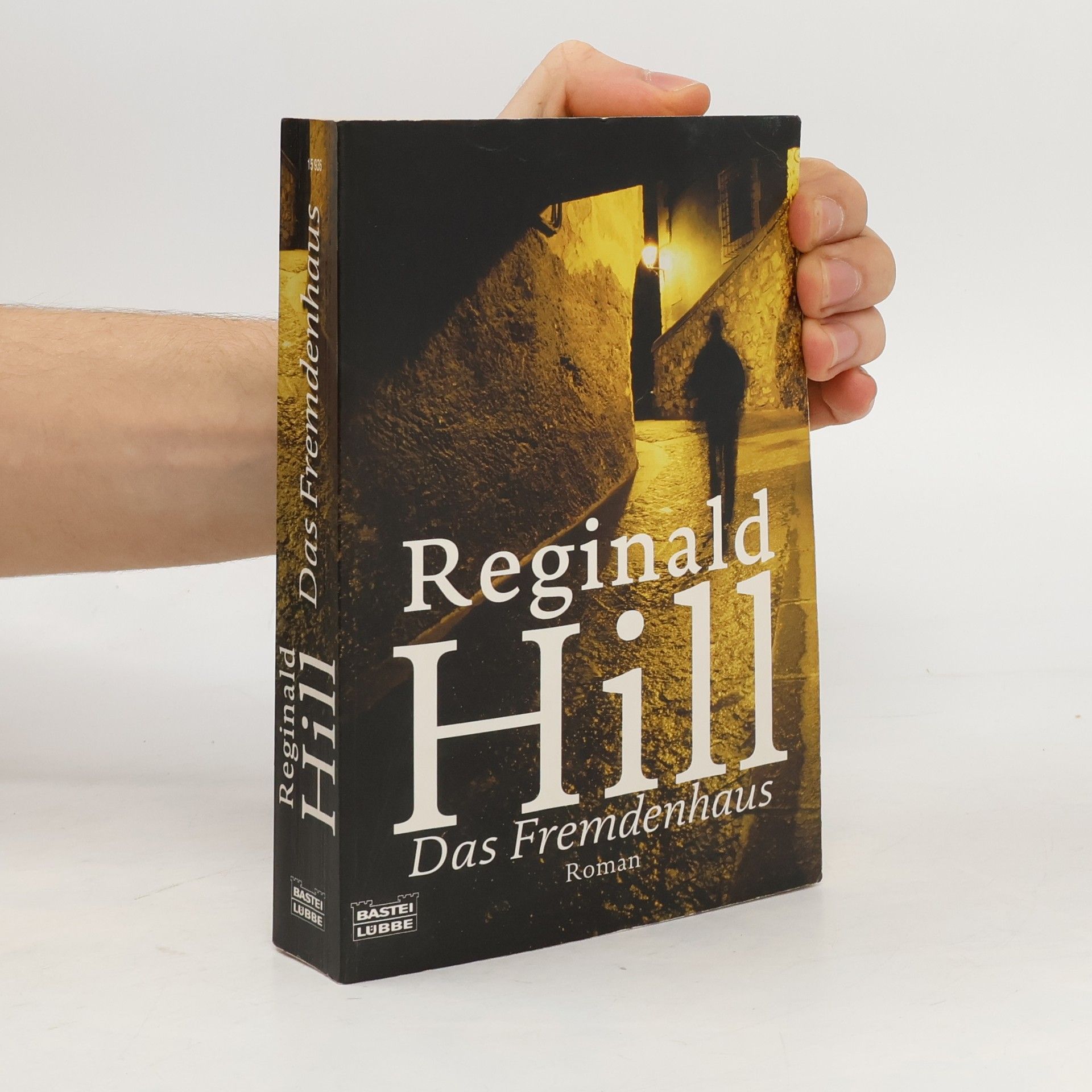 Dietmar Schmidt-Tapken Das Fremdenhaus. Roman