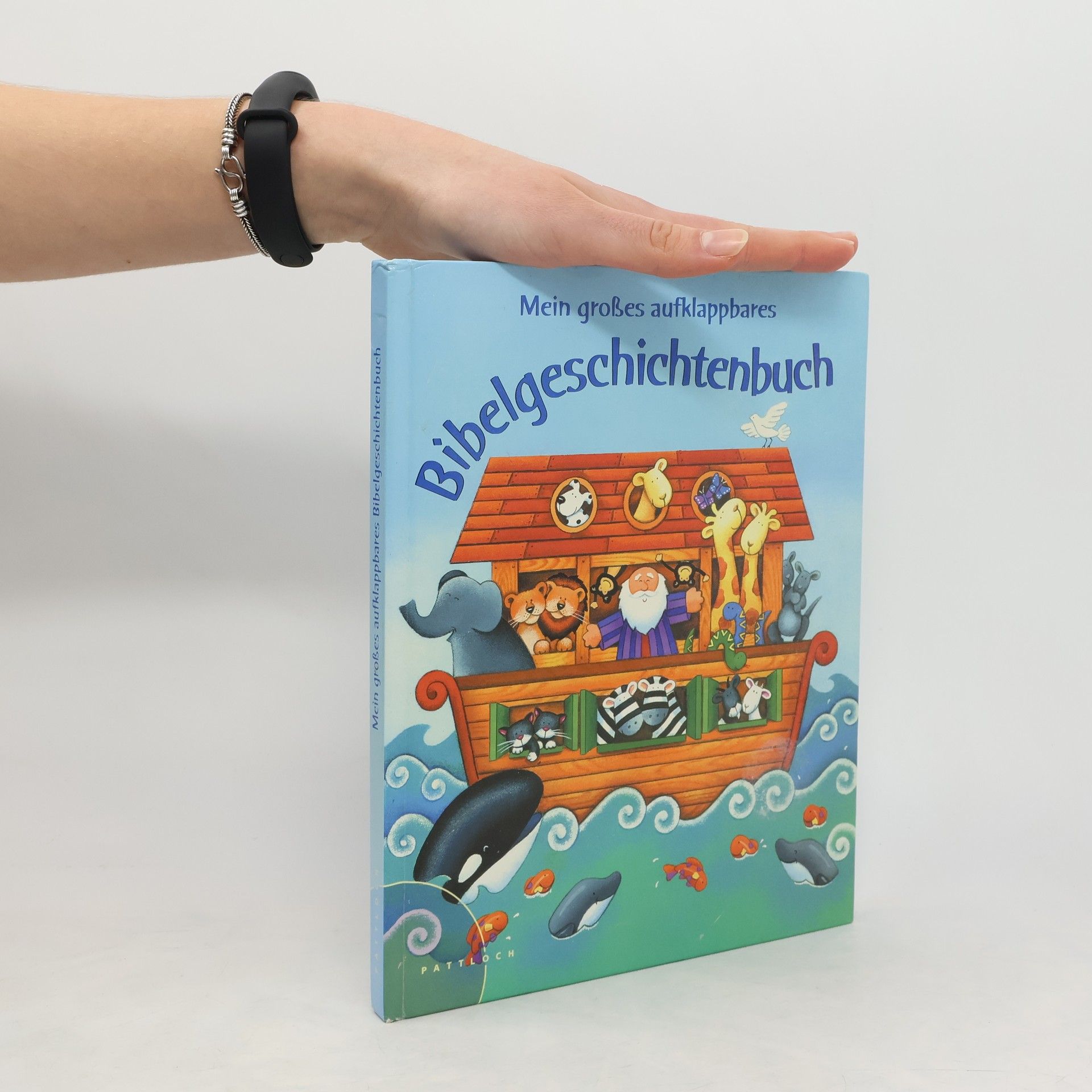 Allia Zobel Nolan Mein großes aufklappbares Bibelgeschichtenbuch