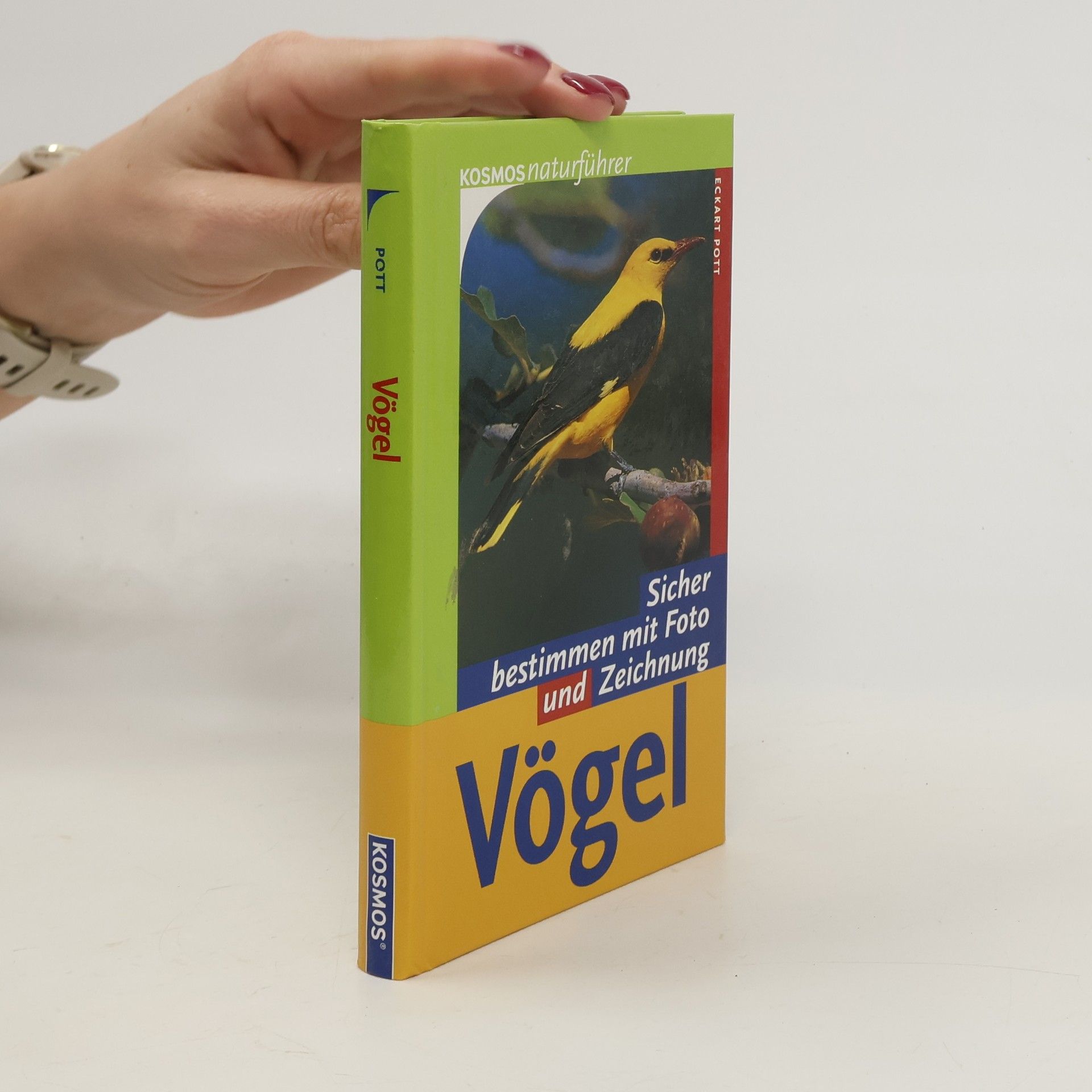 Eckart Pott Vögel