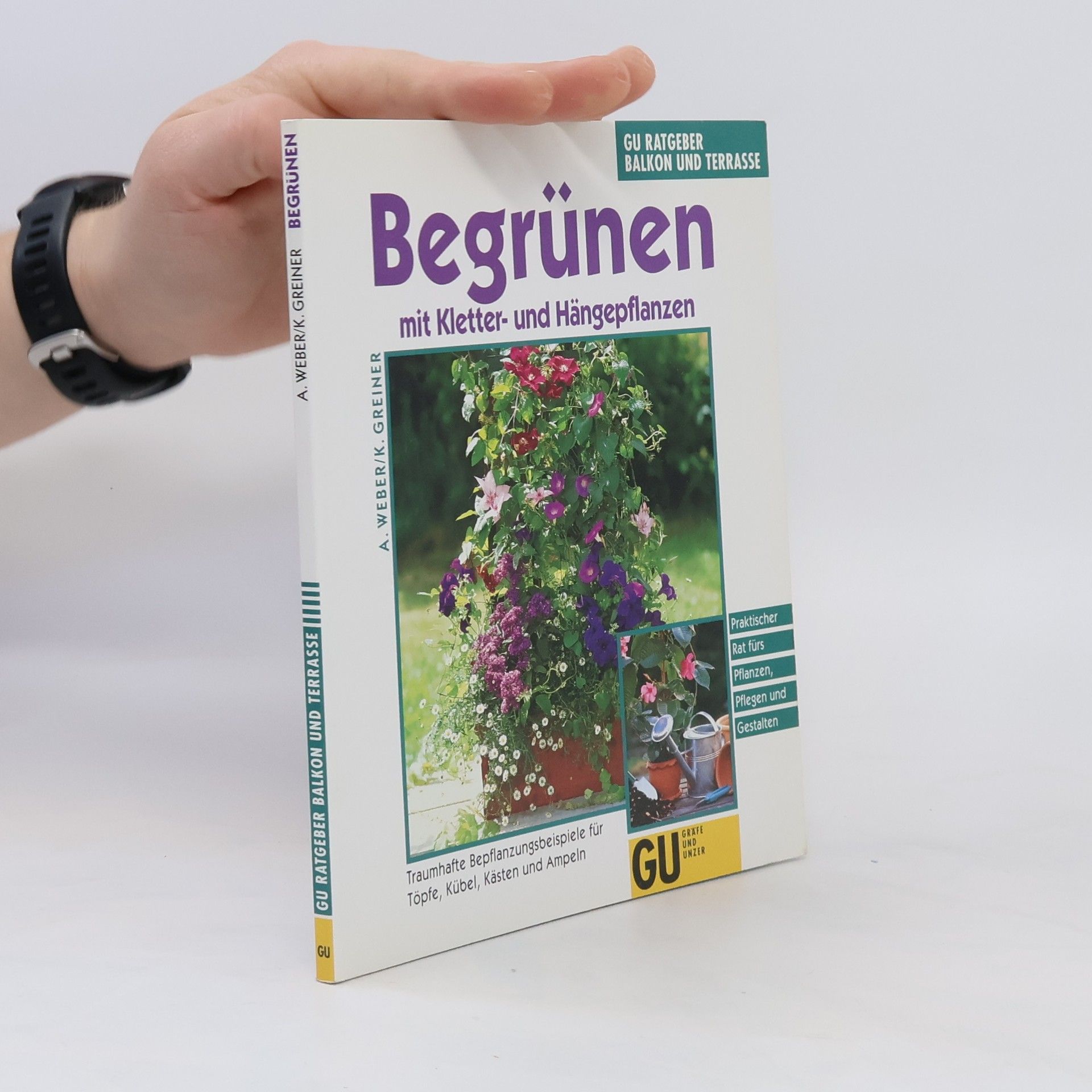 Angelika Weber Begrünen mit Kletter- und Hängepflanzen