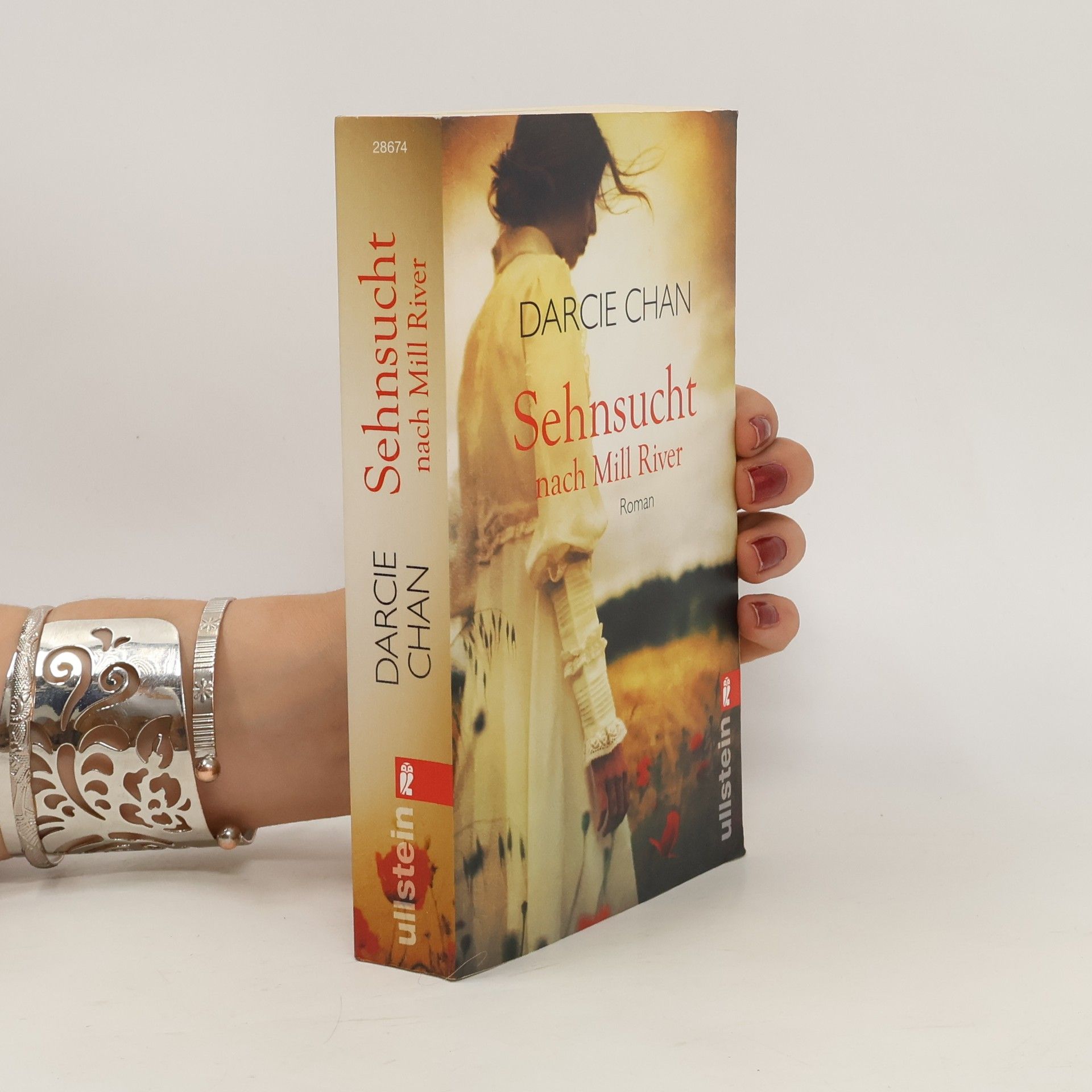 Darcie Chan Sehnsucht nach Mill River