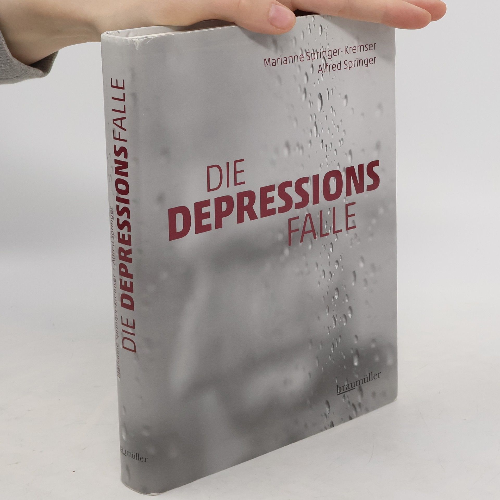 Marianne Springer-Kremser Die Depressionsfalle