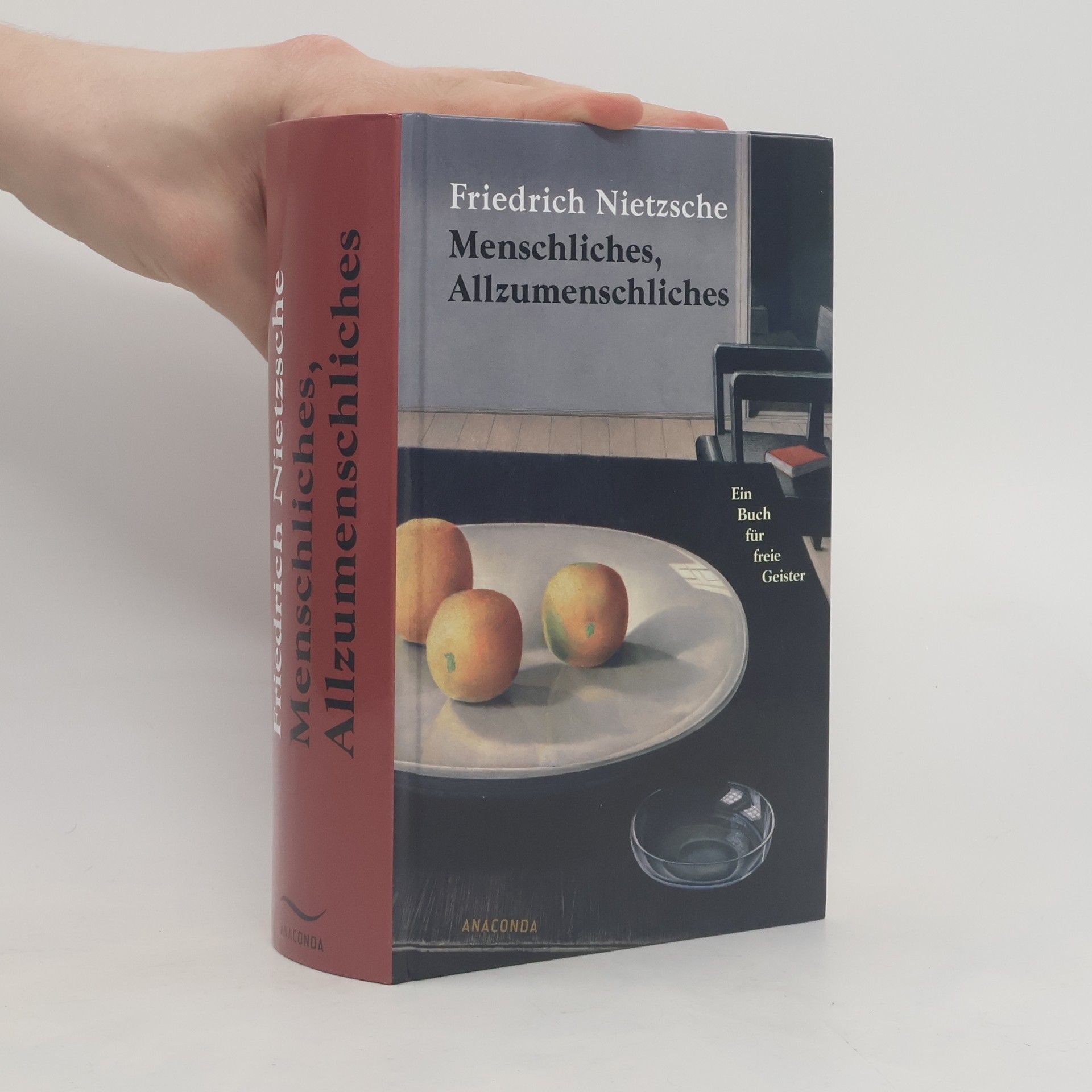 Friedrich Nietzsche Menschliches, Allzumenschliches