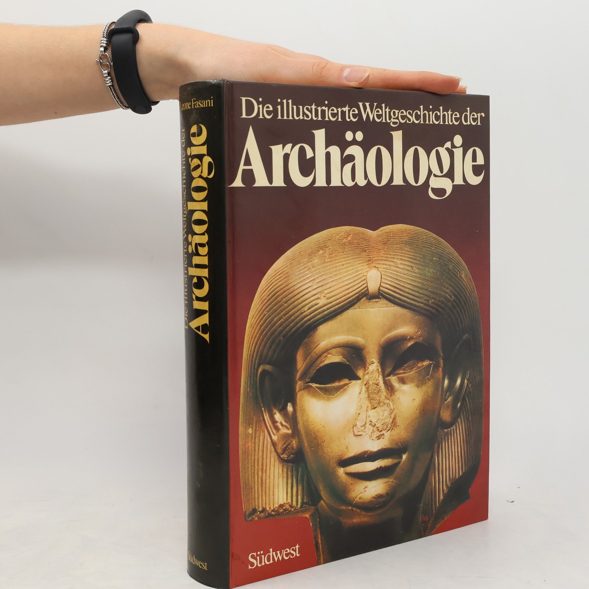 Leone Fasani Die illustrierte Weltgeschichte der Archäologie