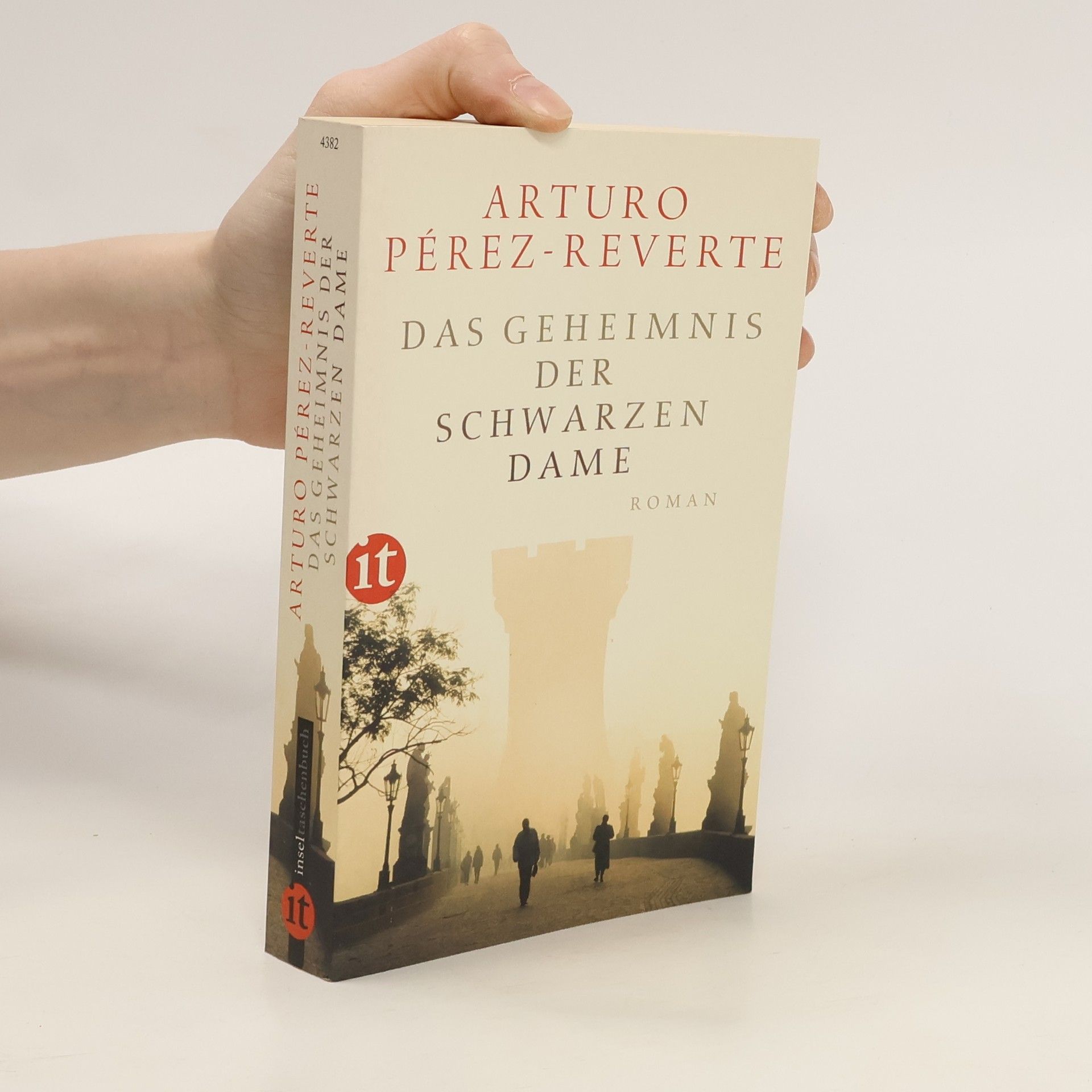 Arturo Pérez Reverte Das Geheimnis der schwarzen Dame