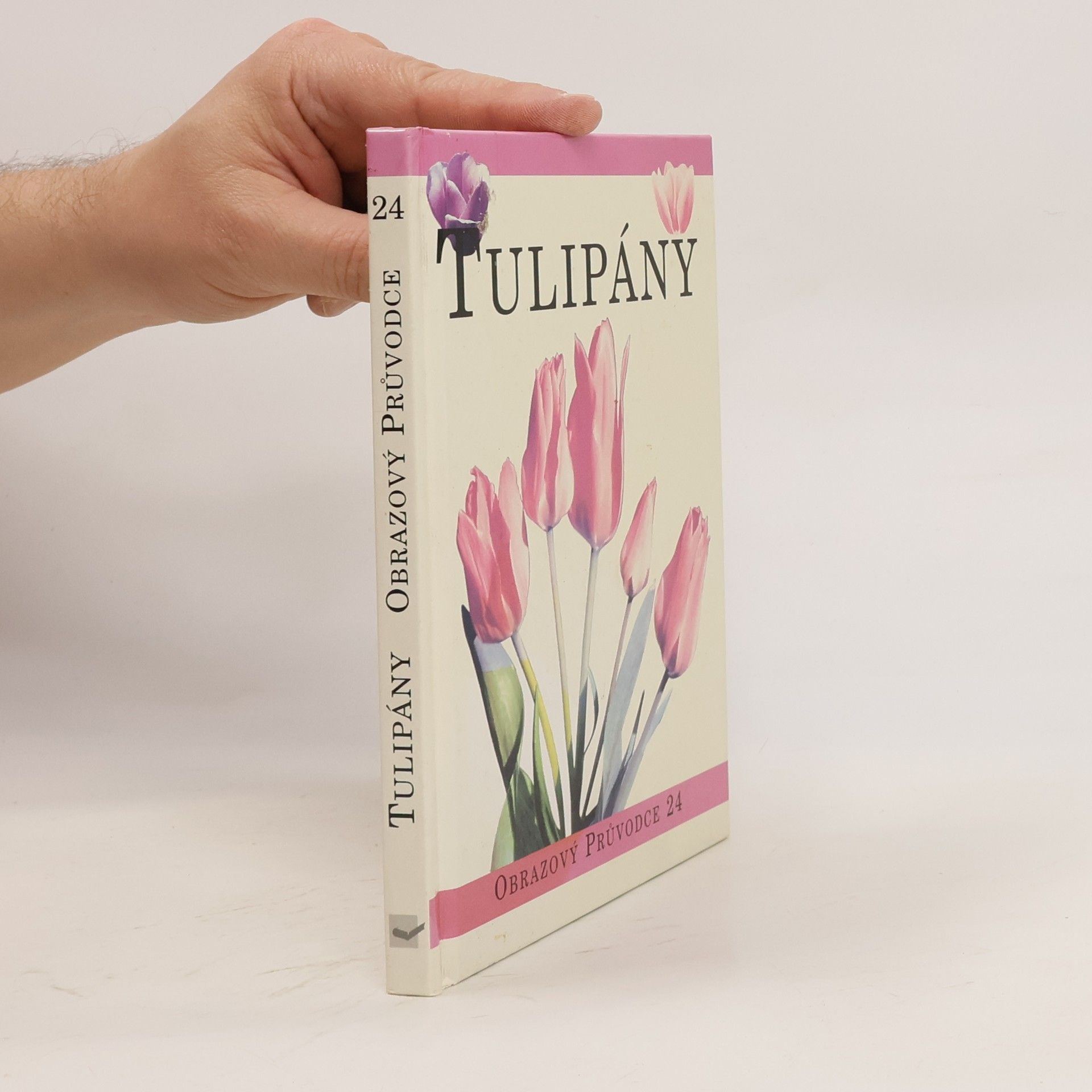 kolektiv Tulipány