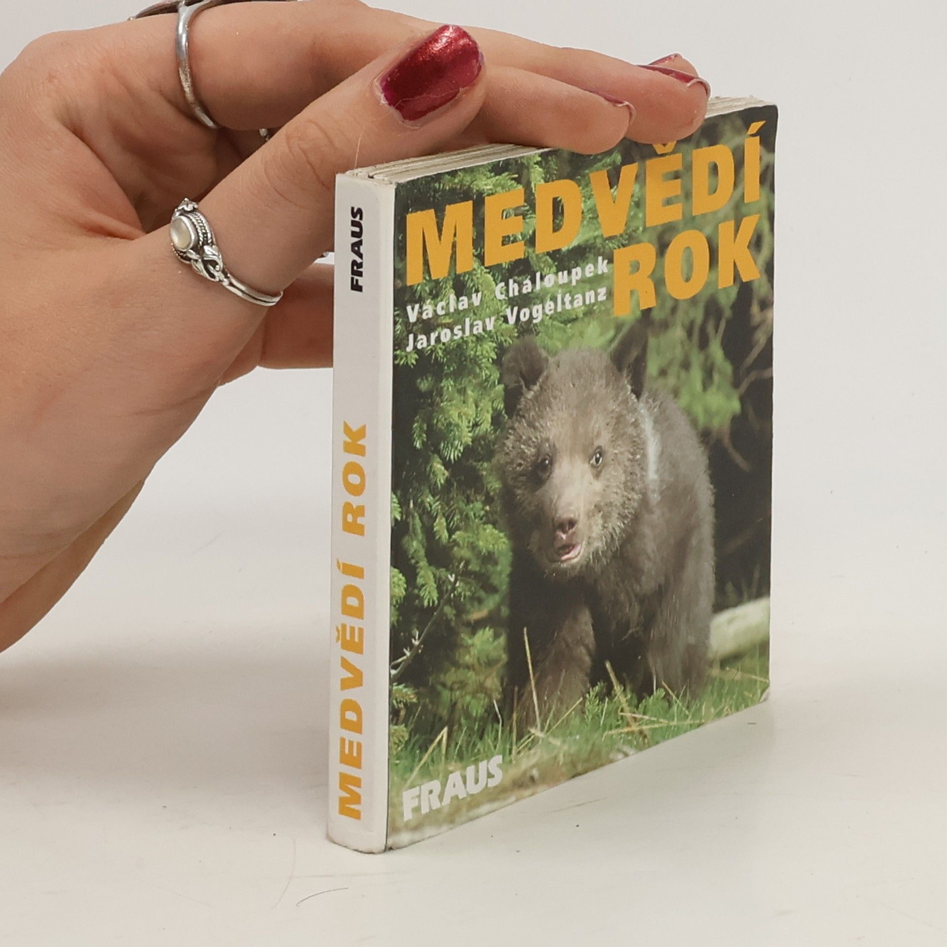 Jaroslav Vogeltanz Medvědí rok