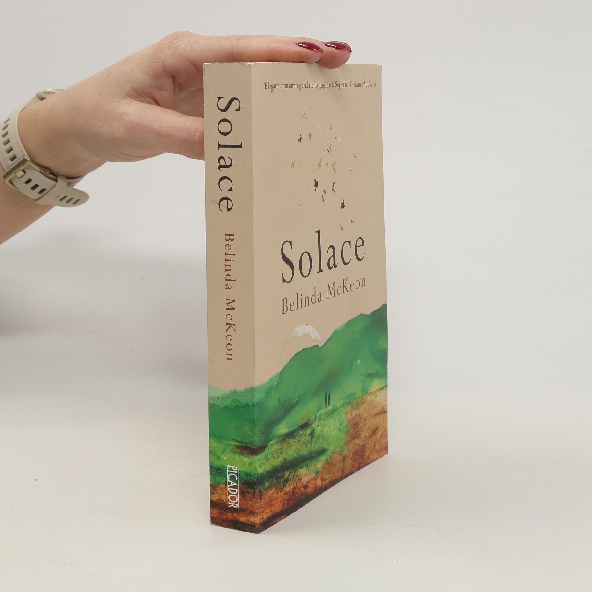 Belinda McKeon Solace