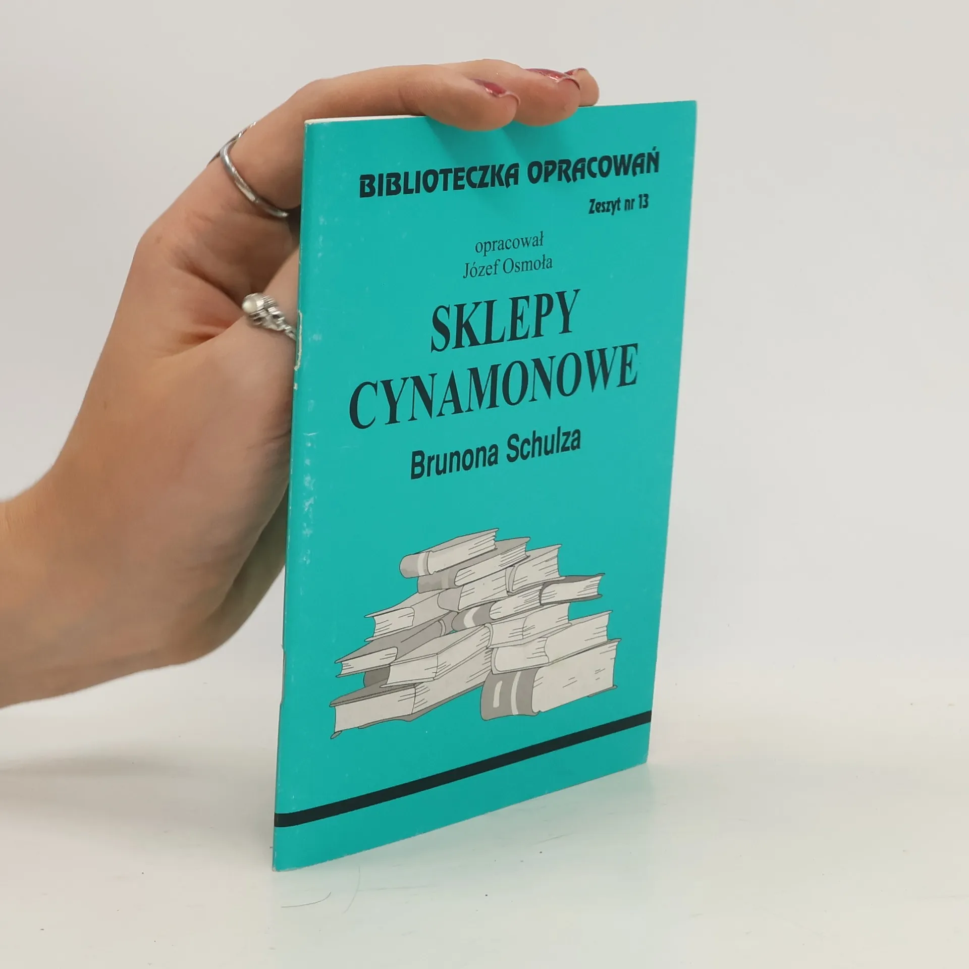 Biblioteczka opracowań Sklepy cynamonowe Brunona Schulza | Book | Paperback | kolektiv | PL
