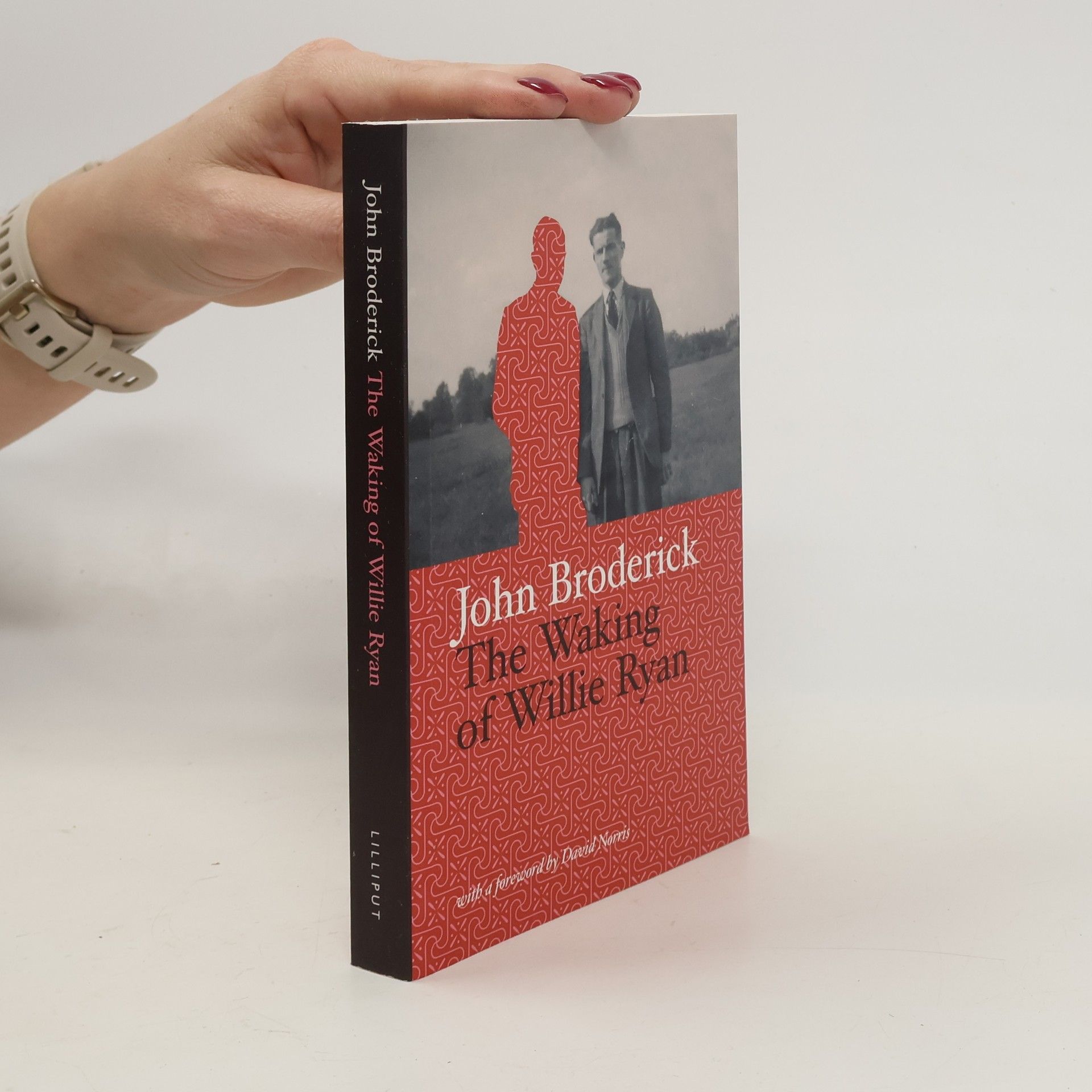 John Broderick The Waking of Willie Ryan