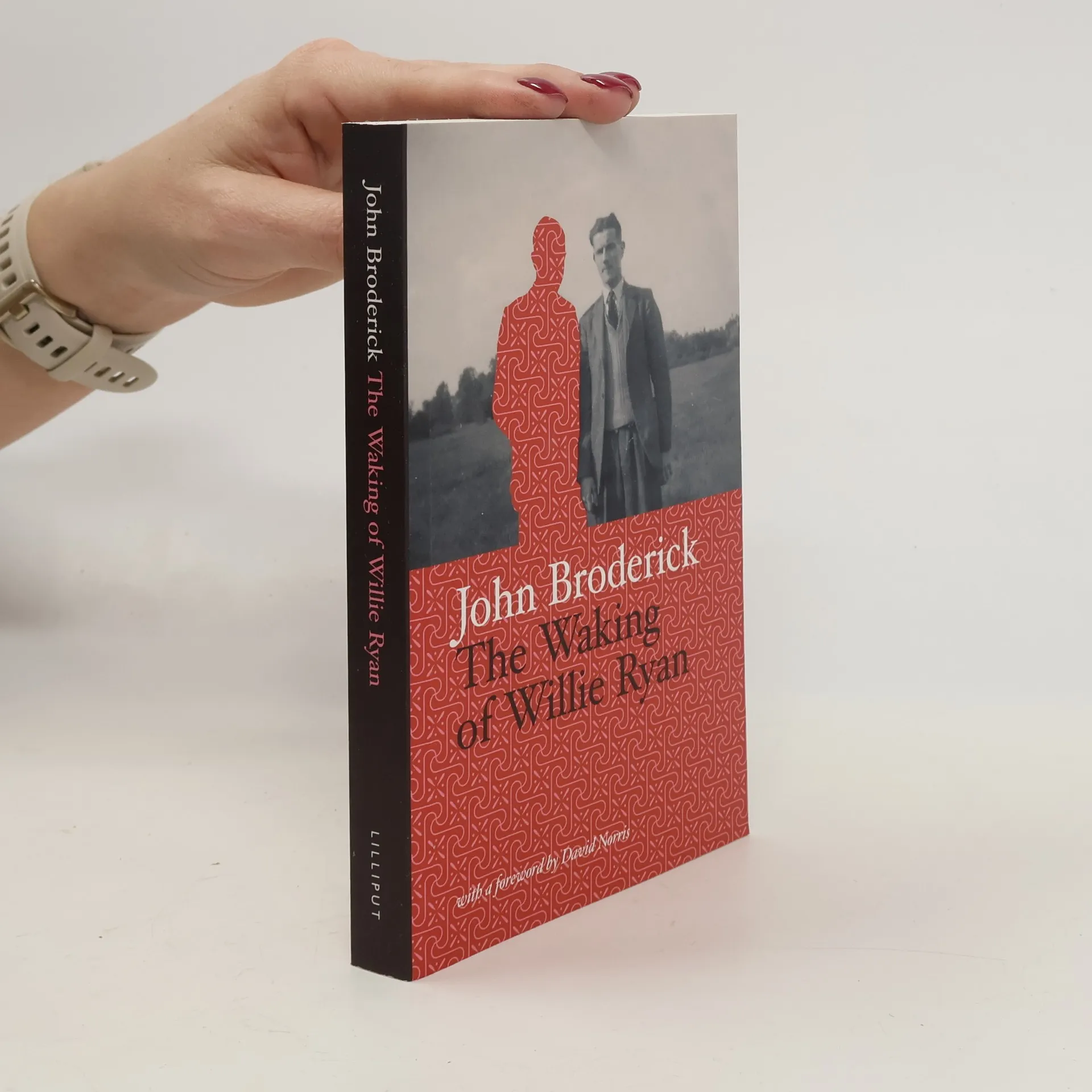 The Waking of Willie Ryan | Libro | In brossura | John Broderick | EN
