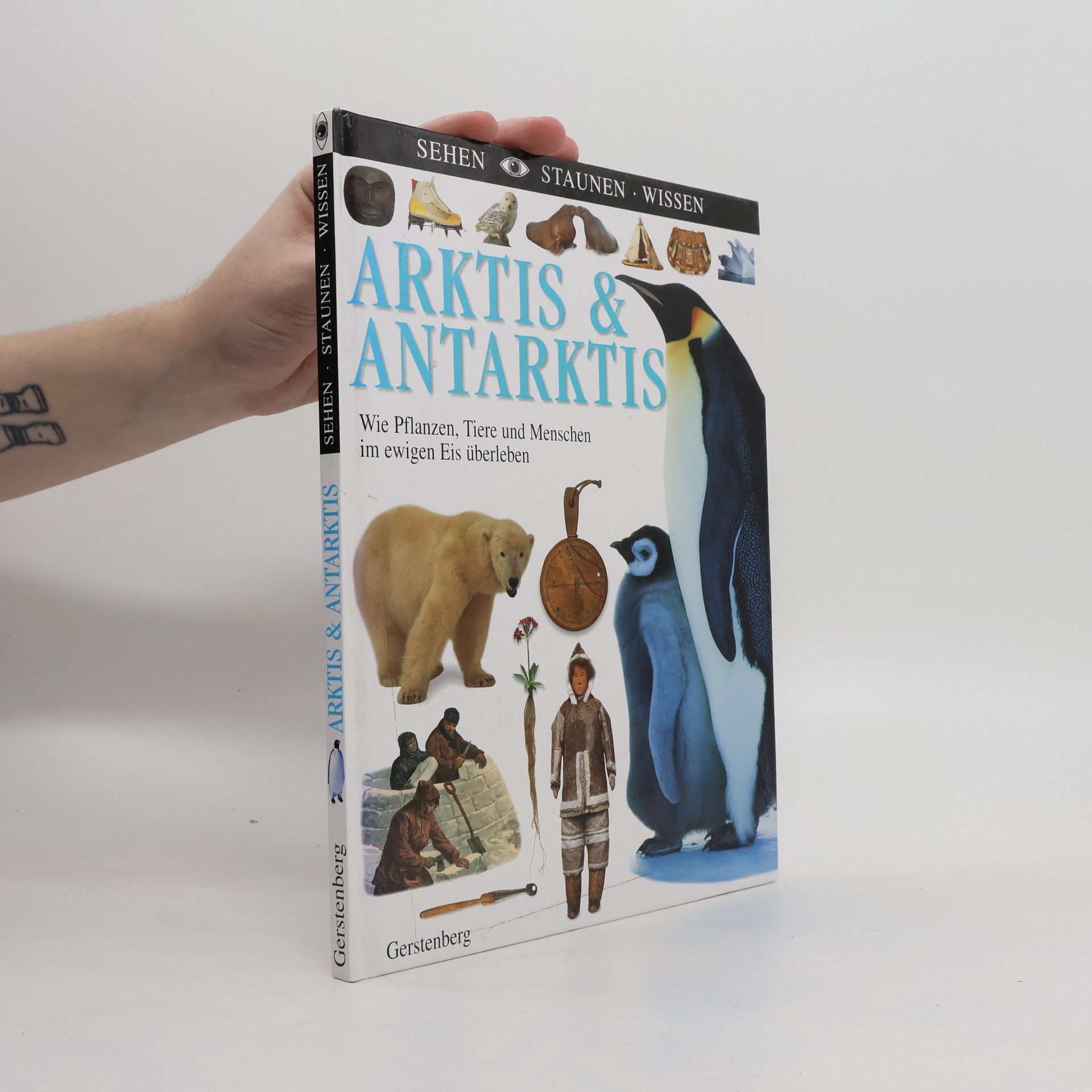 Margot Wilhelmi Arktis & Antarktis