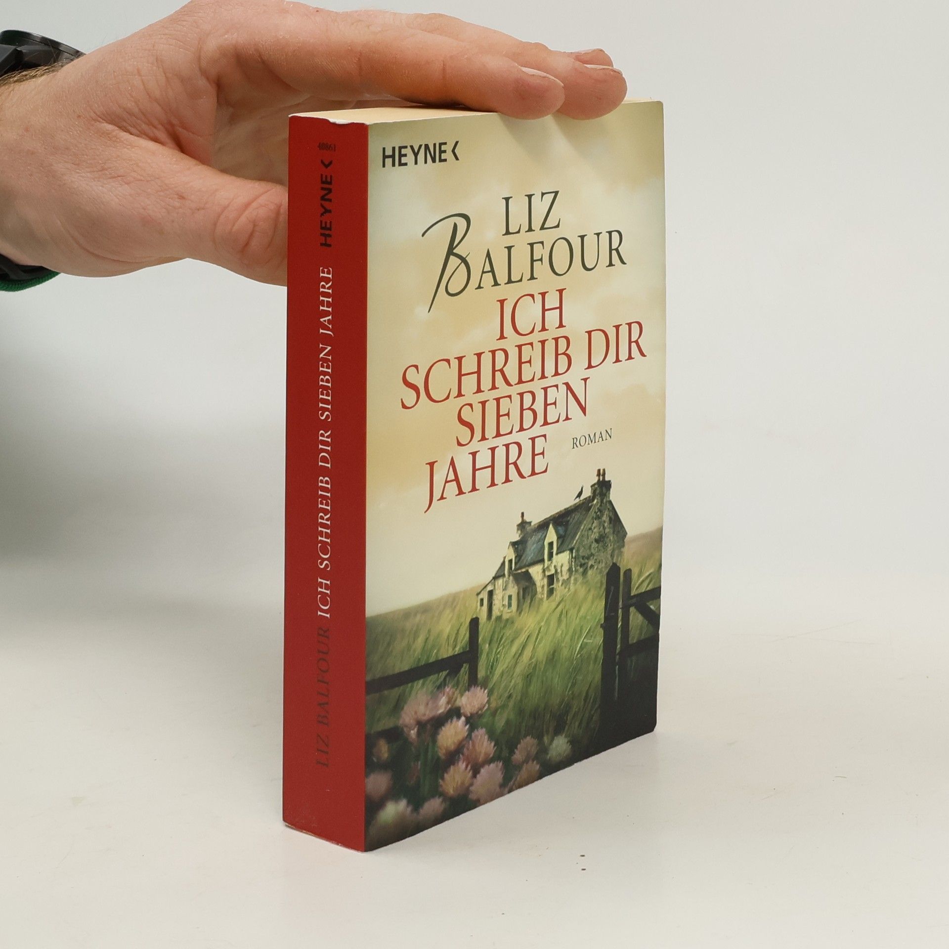 Liz Balfour Ich schreib dir sieben Jahre