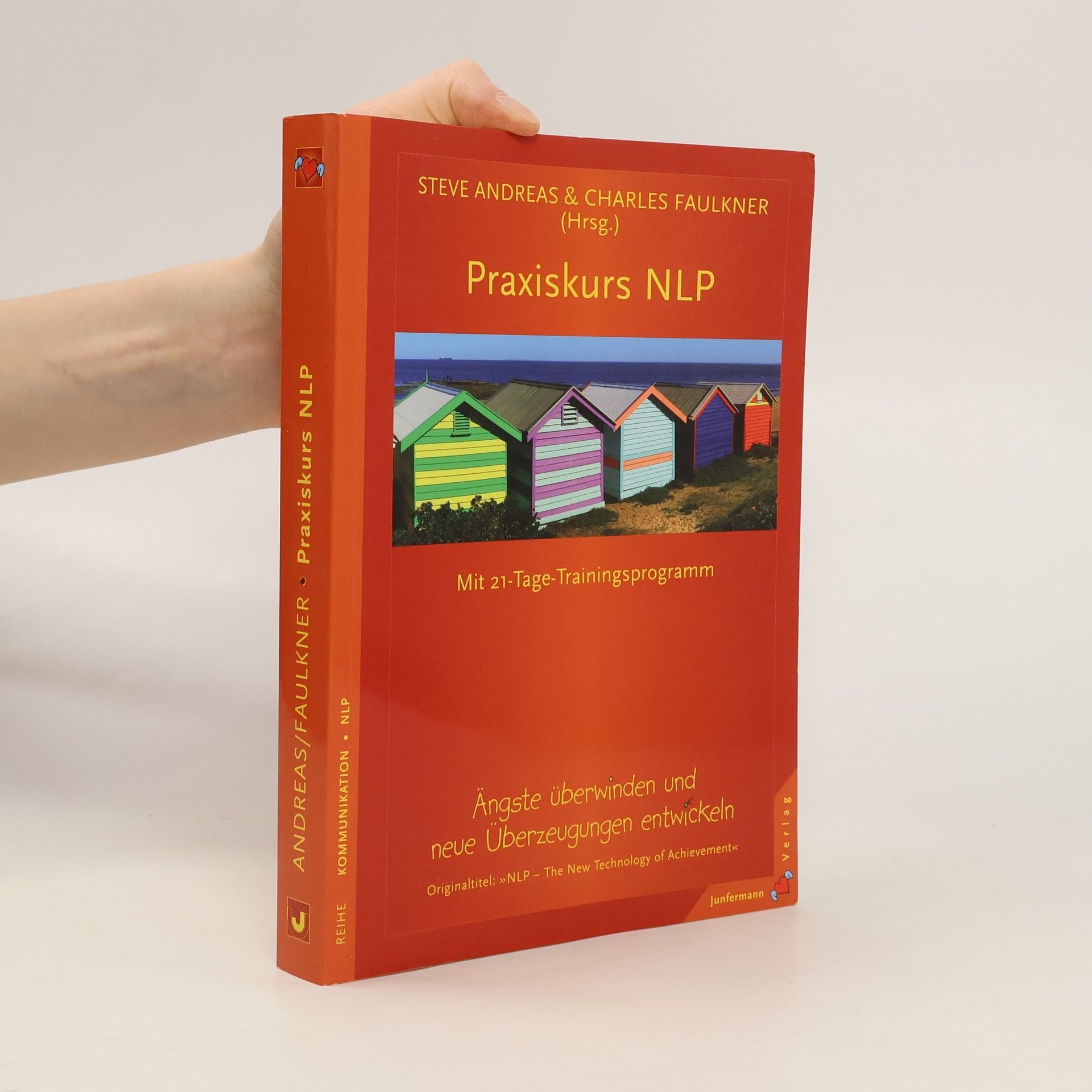 Steve Andreaas Praxiskurs NLP