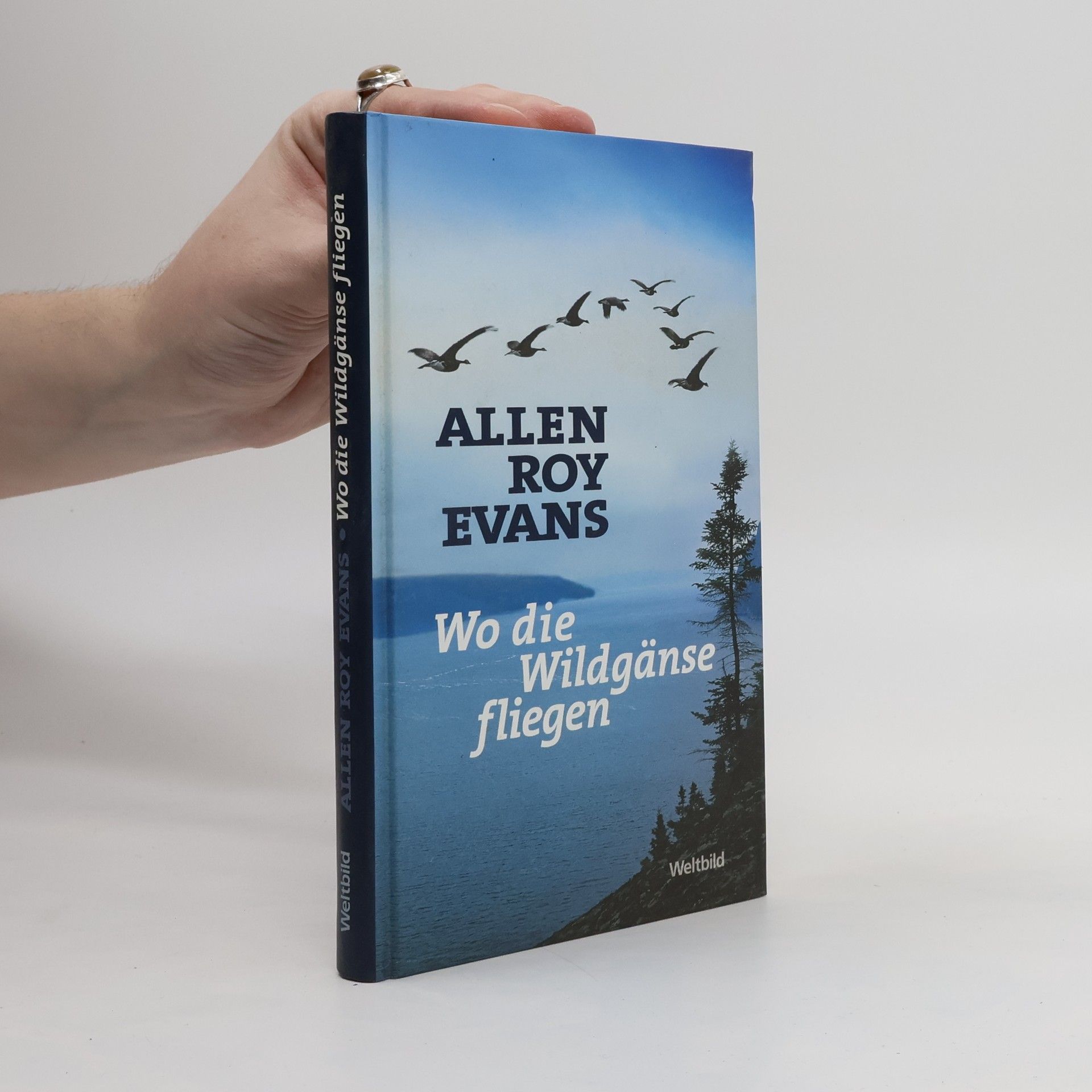 Allen Roy Evans Wind über weißen Wegen