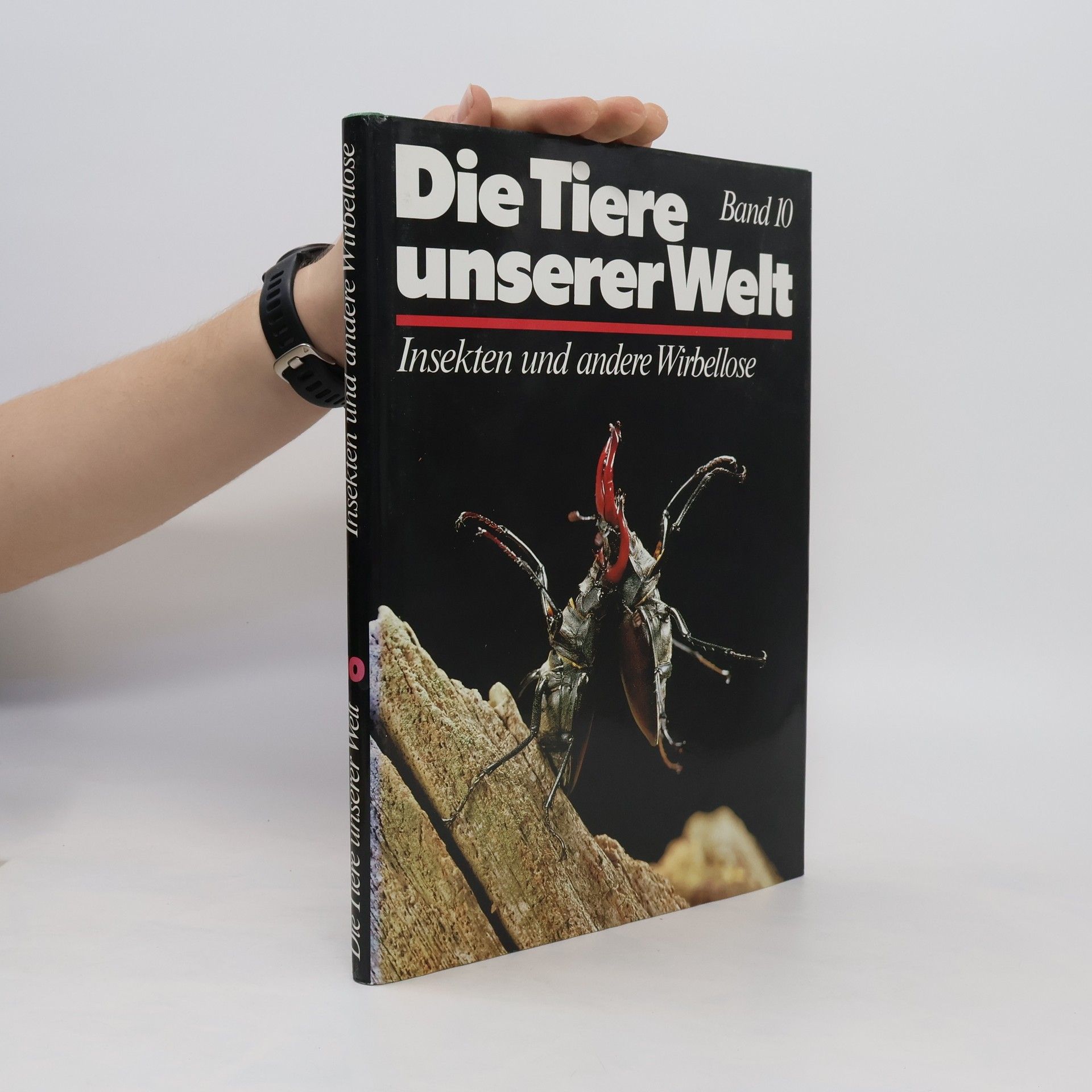 Collectif d'auteurs Die Tiere unserer Welt Band 10. Insekten und andere Wirbellose
