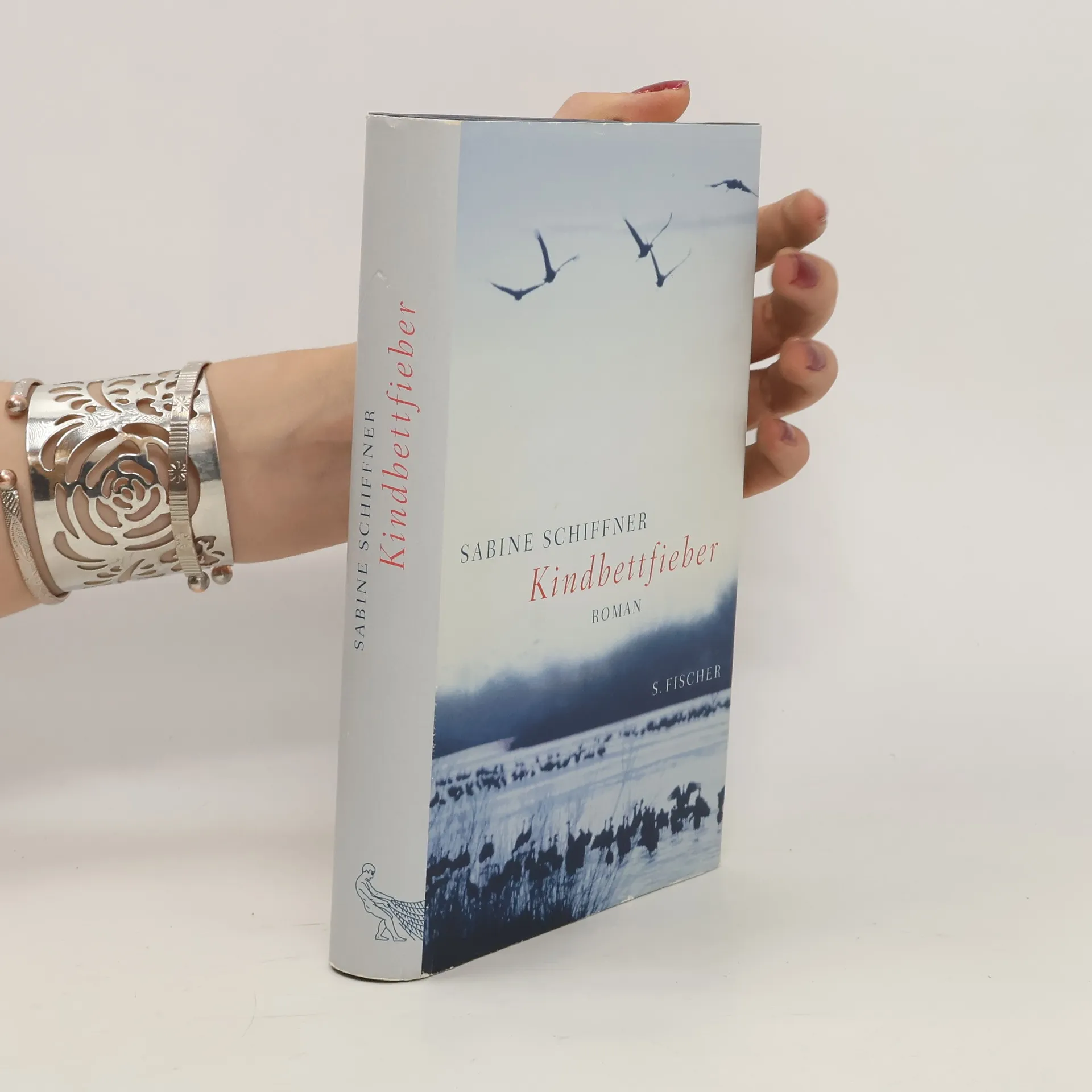 Kindbettfieber | Buch | Sabine Schiffner