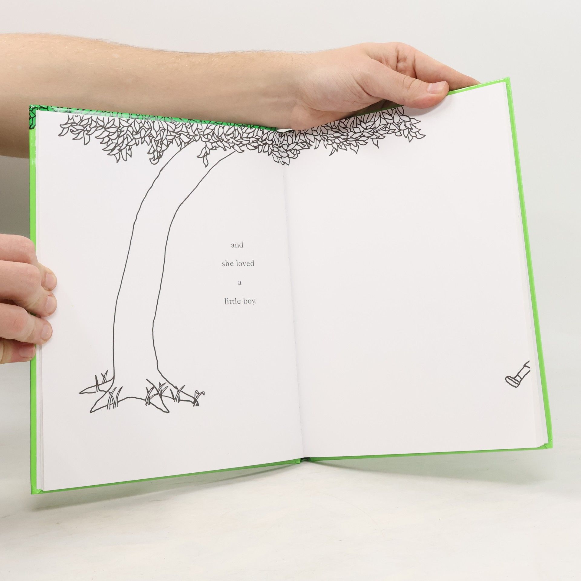 Shel Silverstein The Giving Tree
