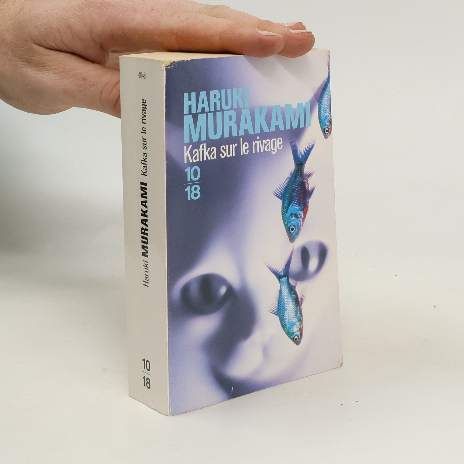 Haruki Murakami Kafka sur le rivage