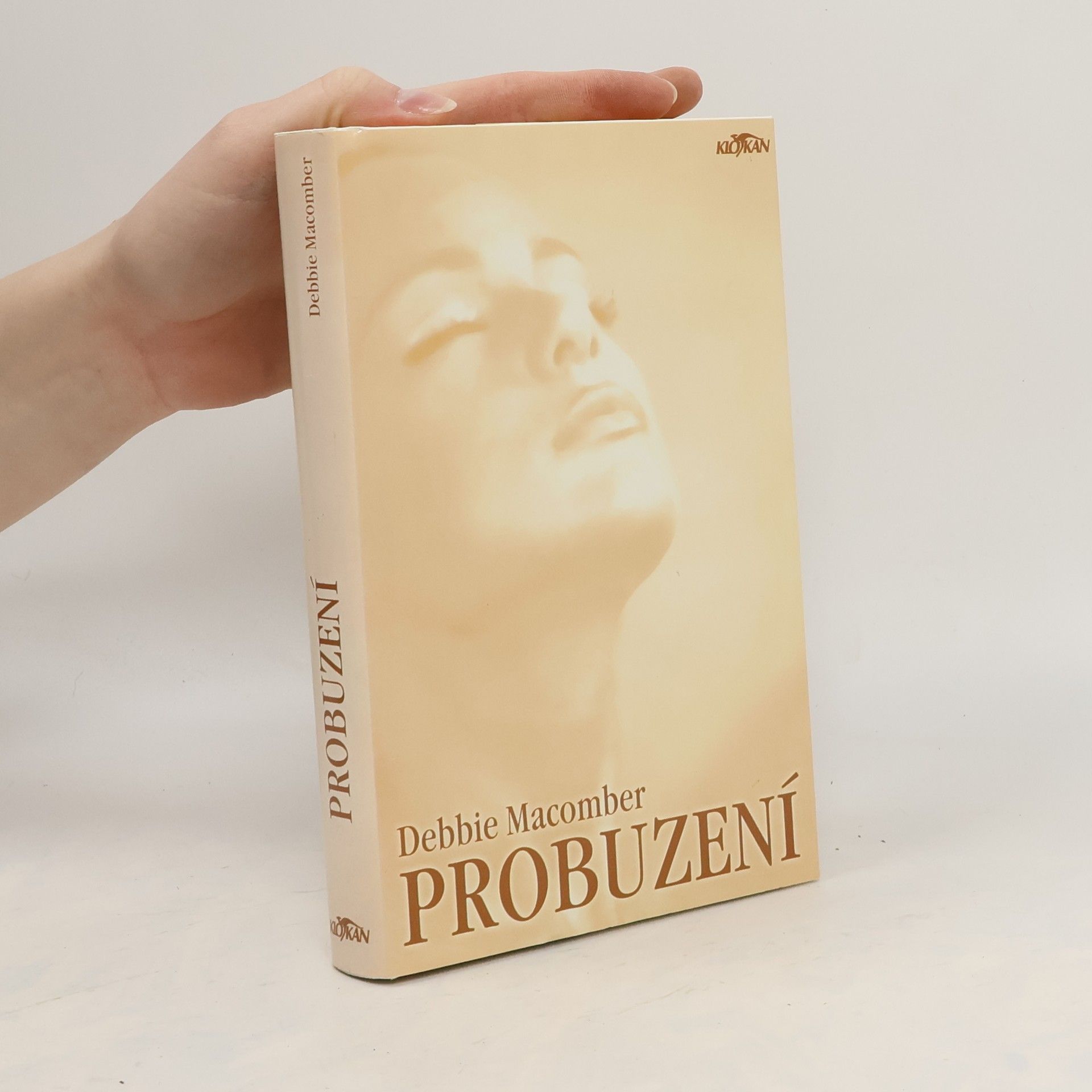 Debbie Macomber Probuzení