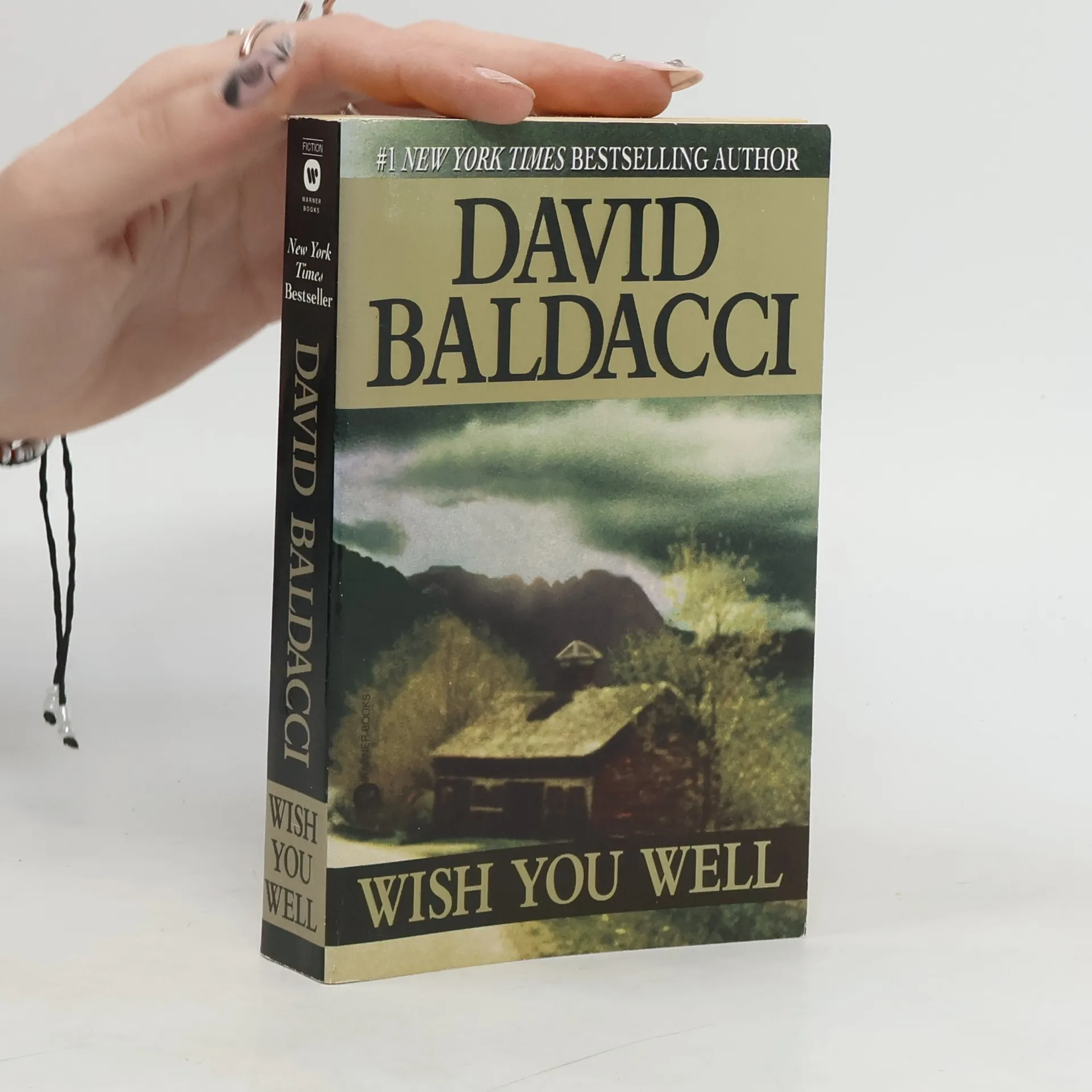 Wish you well | Book | David Baldacci | EN