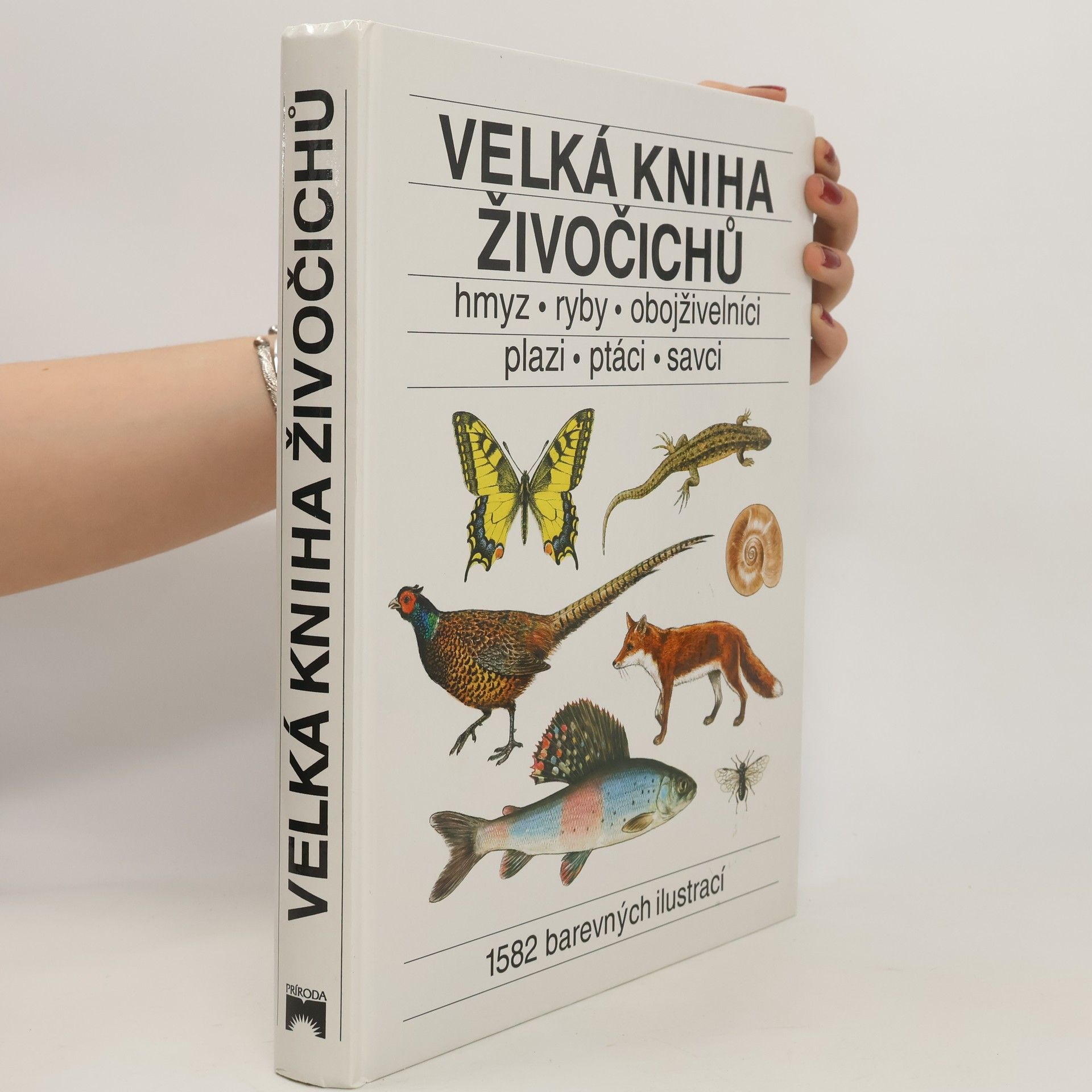 Jindřich Krejča Velká kniha živočichů : hmyz, ryby, obojživelníci, plazi, ptáci, savci