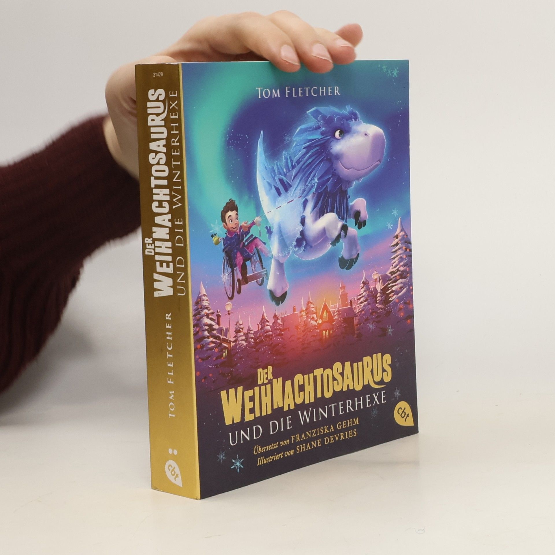 Tom Fletcher Der Weihnachtosaurus und die Winterhexe