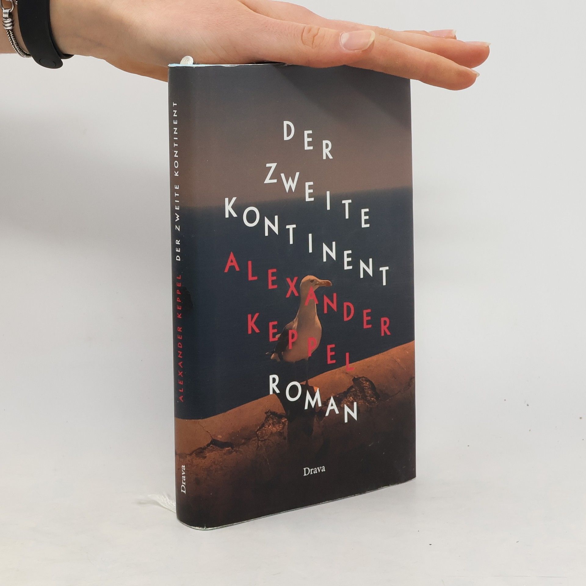 Alexander Keppel Der Zweite Kontinent