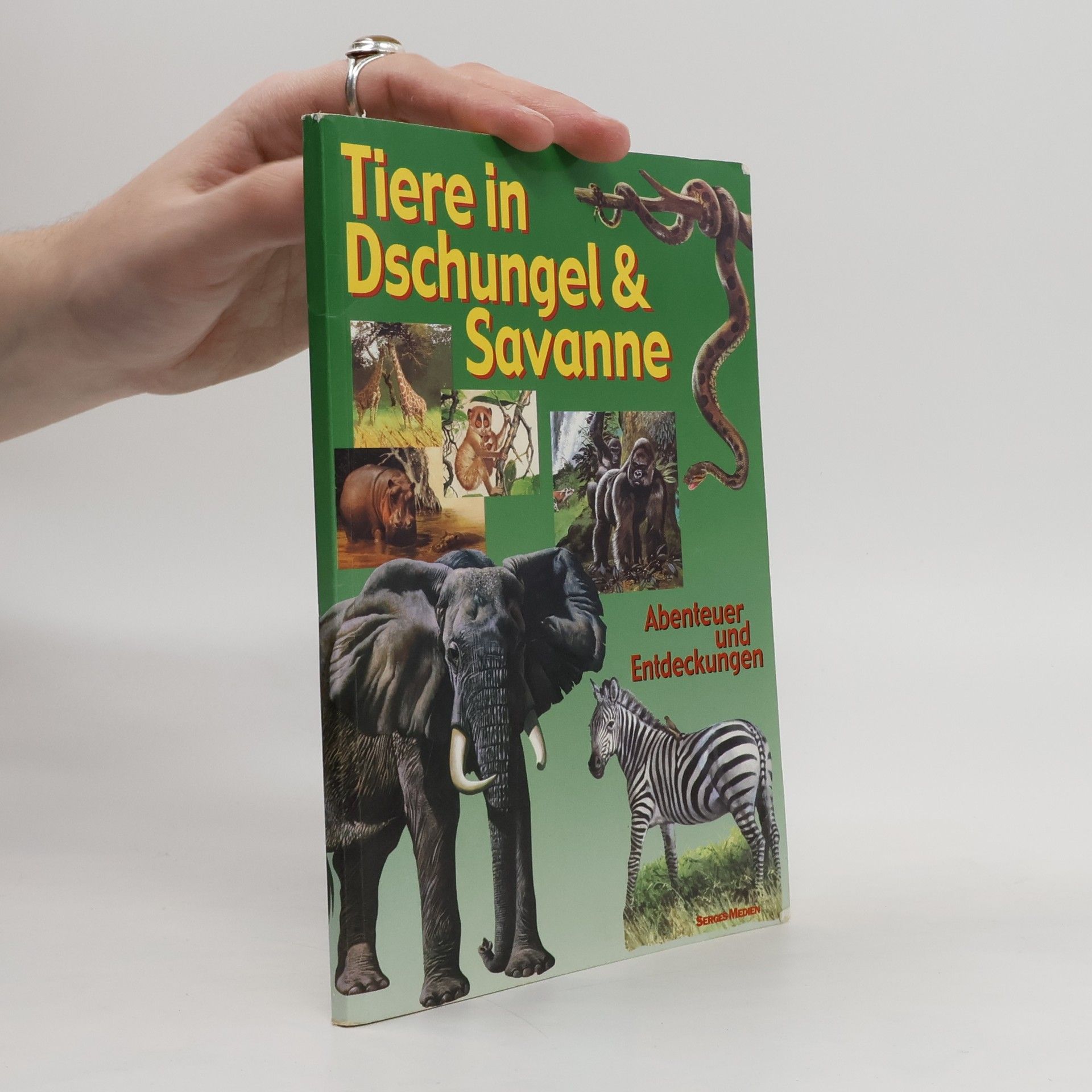 Autorenkollektiv Tiere in Dschungel & Savanne