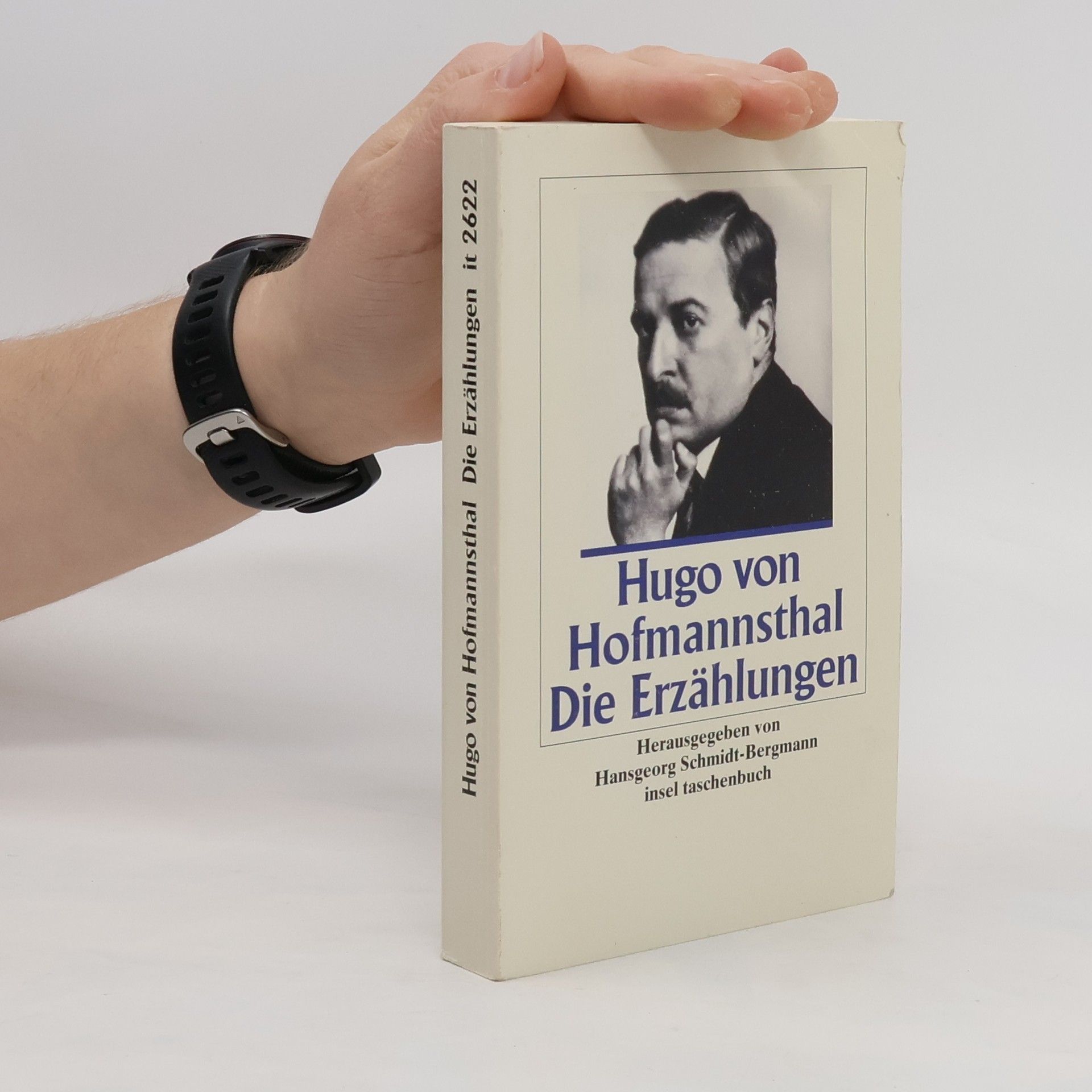 Hugo von Hofmannsthal Die Erzählungen. Hrsg. v. Hansgeorg Schmidt-Bergmann