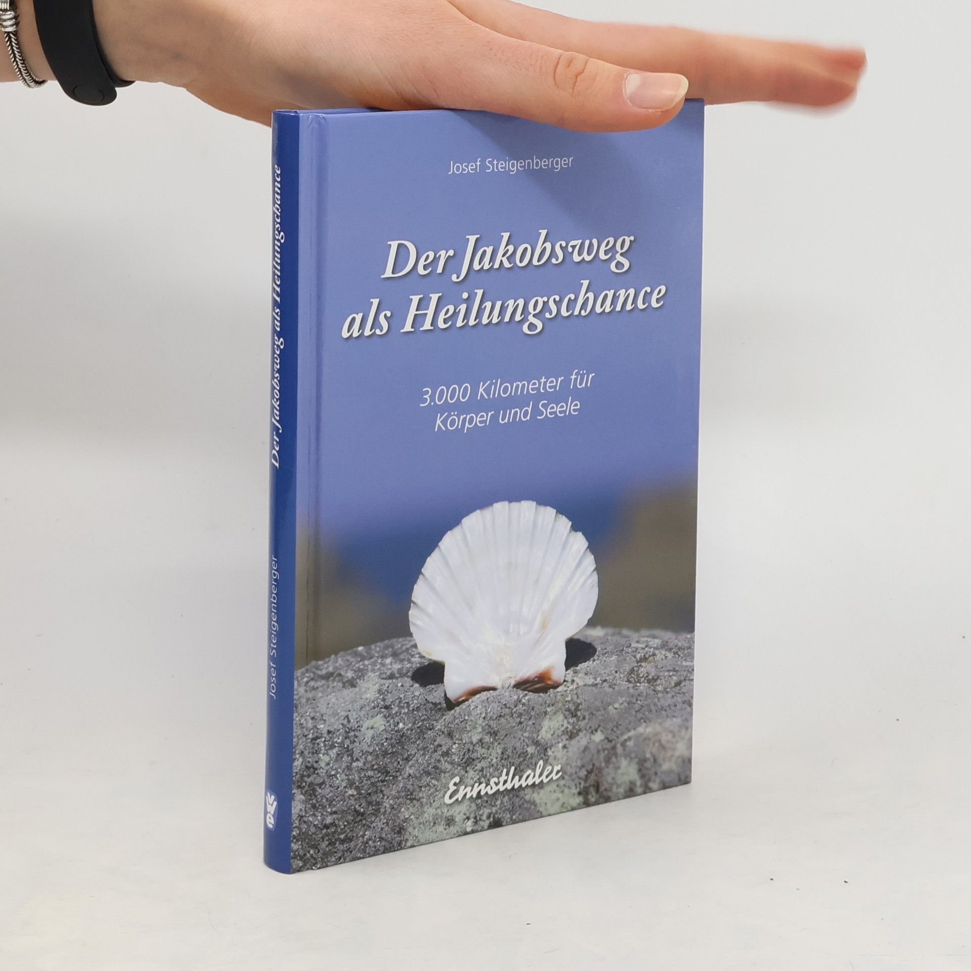 Josef Steigenberger Der Jakobsweg als Heilungschance