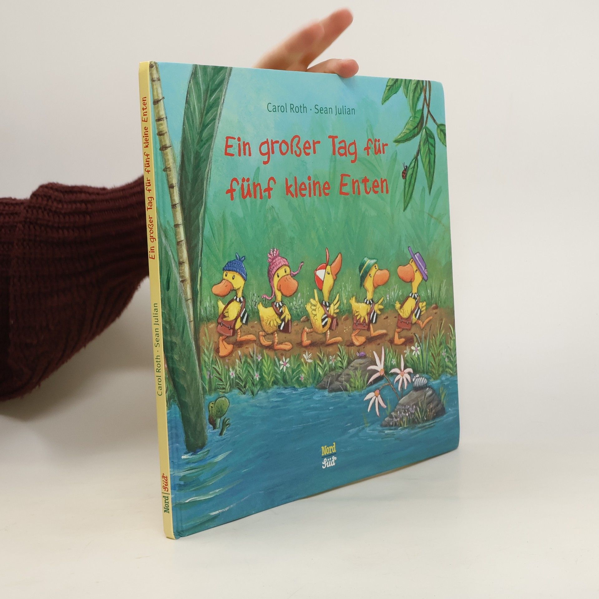 Carol Roth Ein großer Tag für fünf kleine Enten