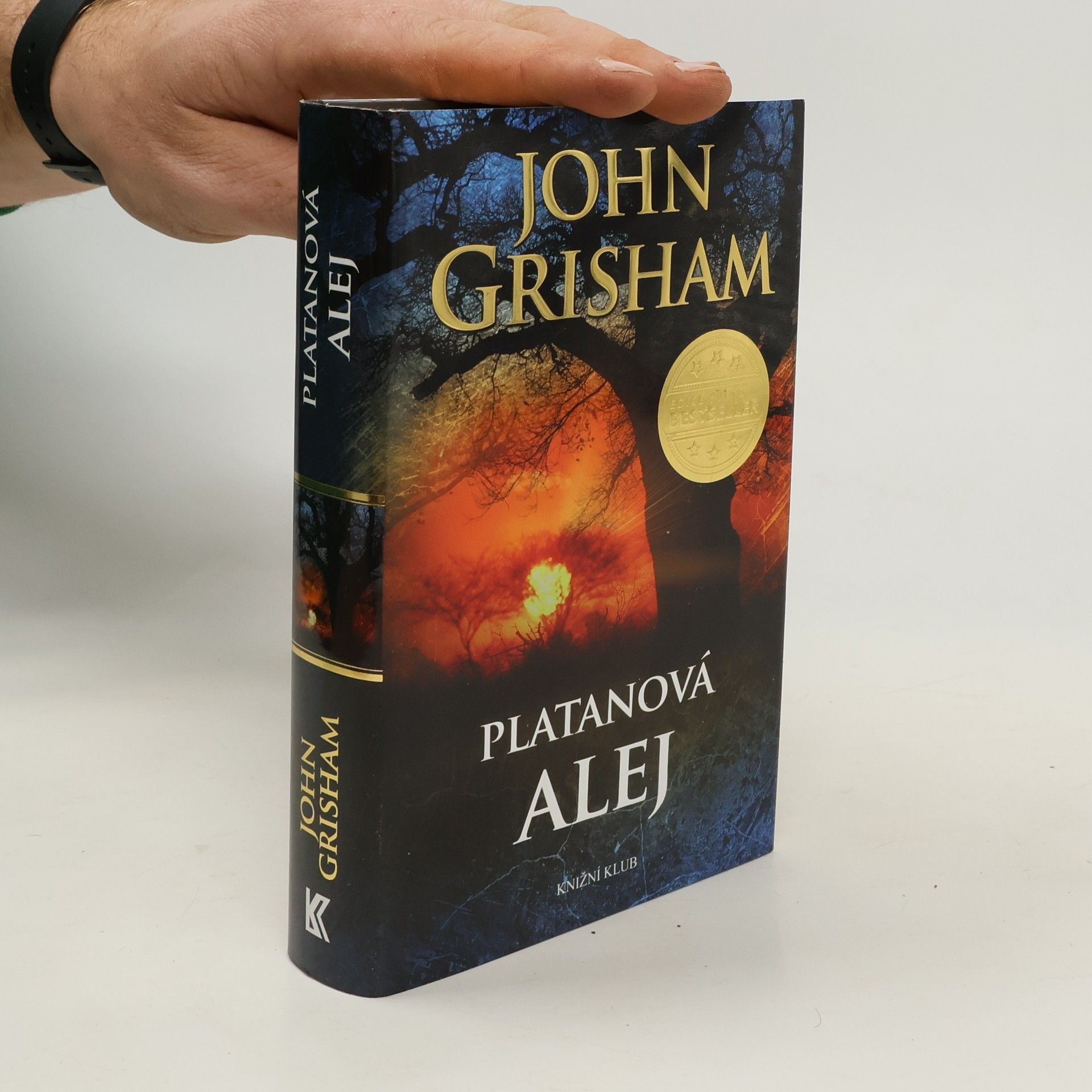 John Grisham Platanová alej
