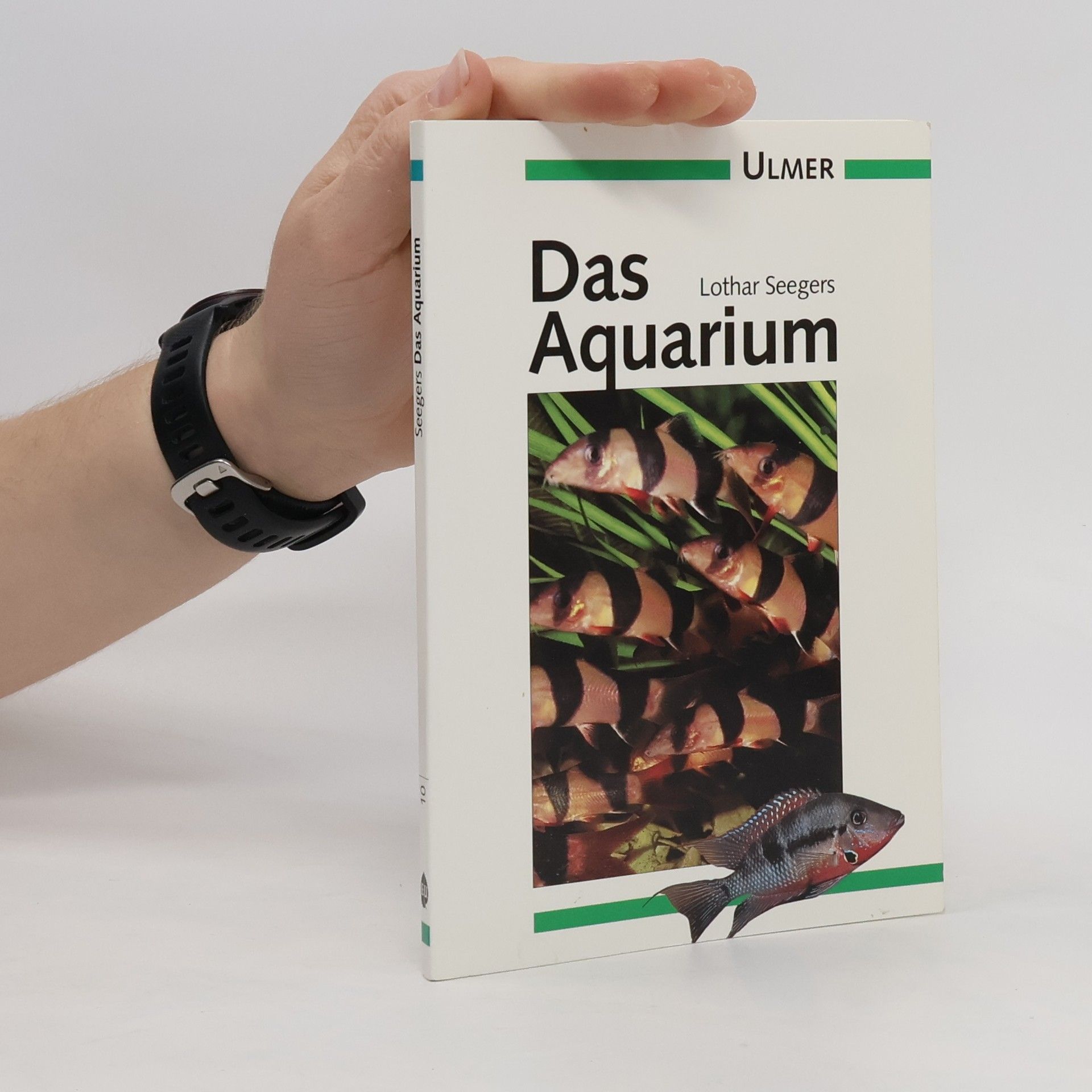 Lothar Seegers Das Aquarium