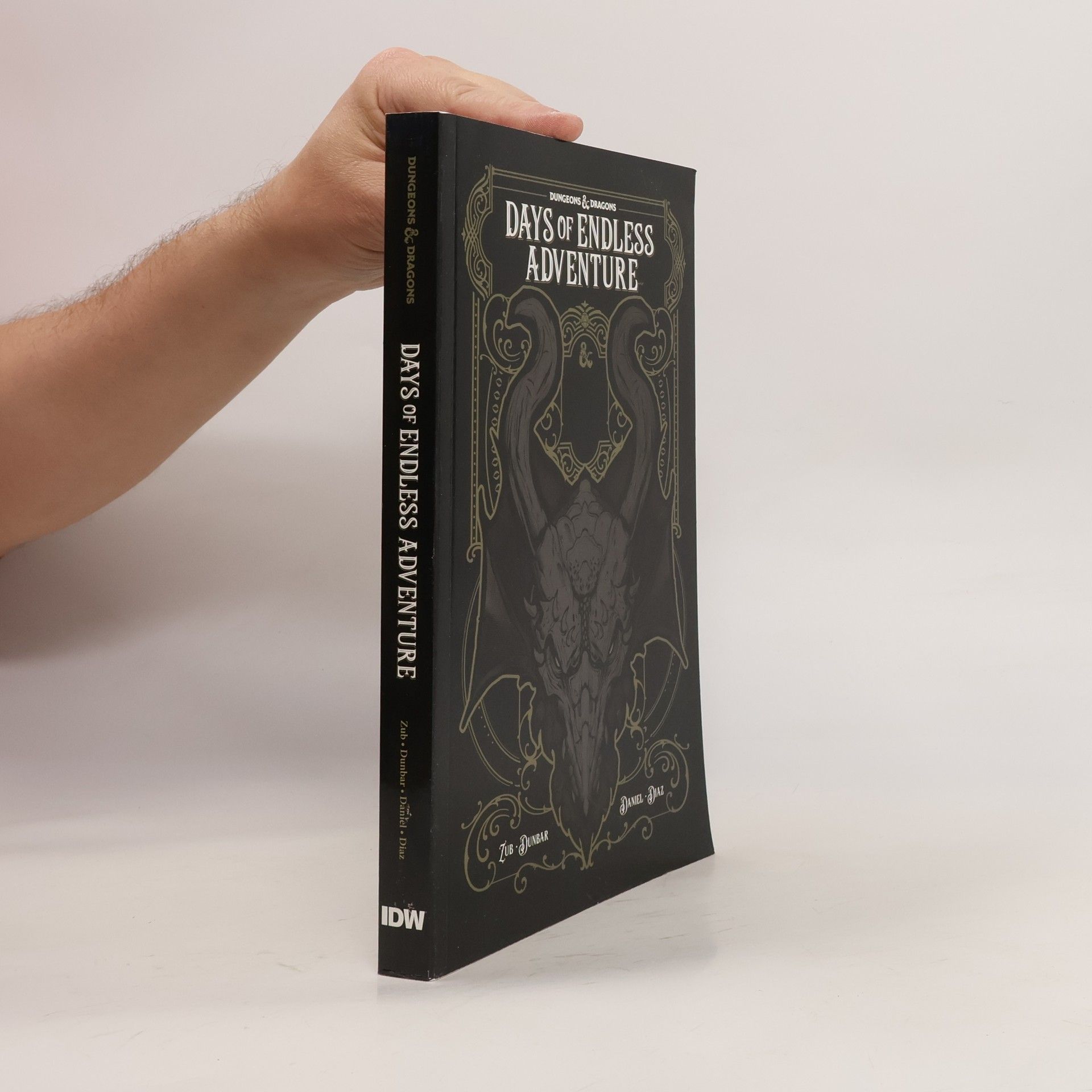 Jim Zub Dungeons and Dragons: Days of Endless Adventure