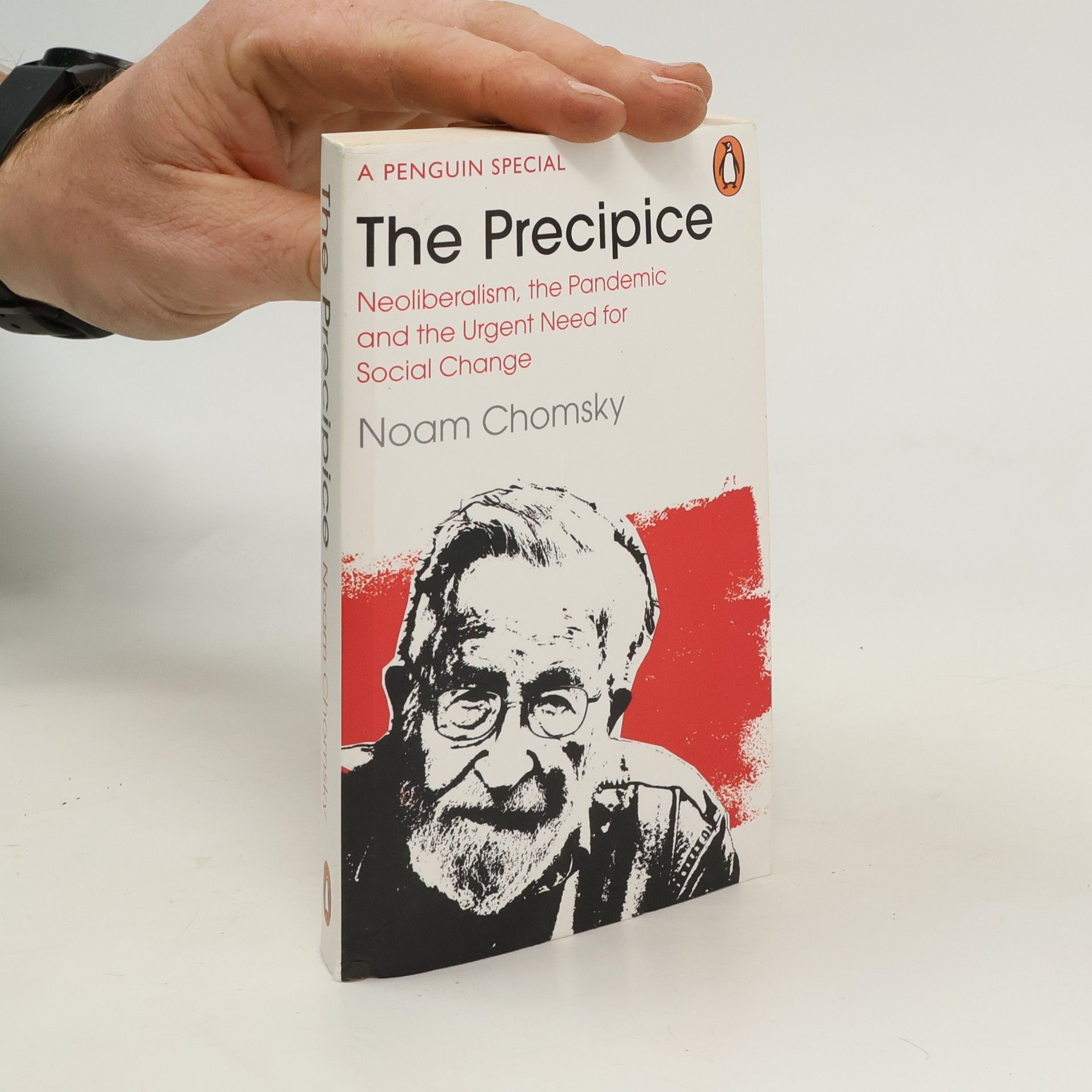 Noam Chomsky The Precipice
