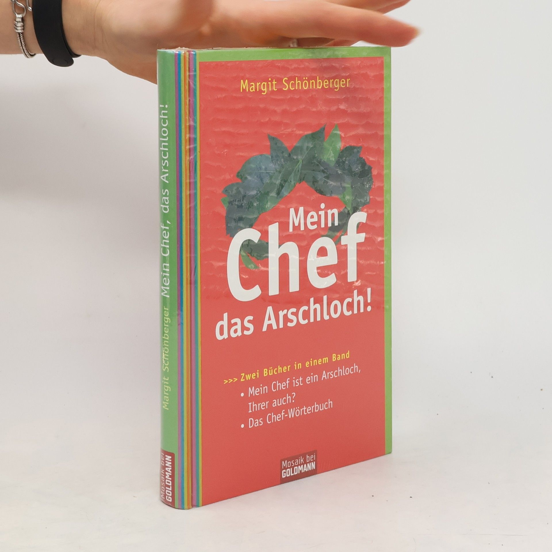 Margit Schönberger Mein Chef, das Arschloch!