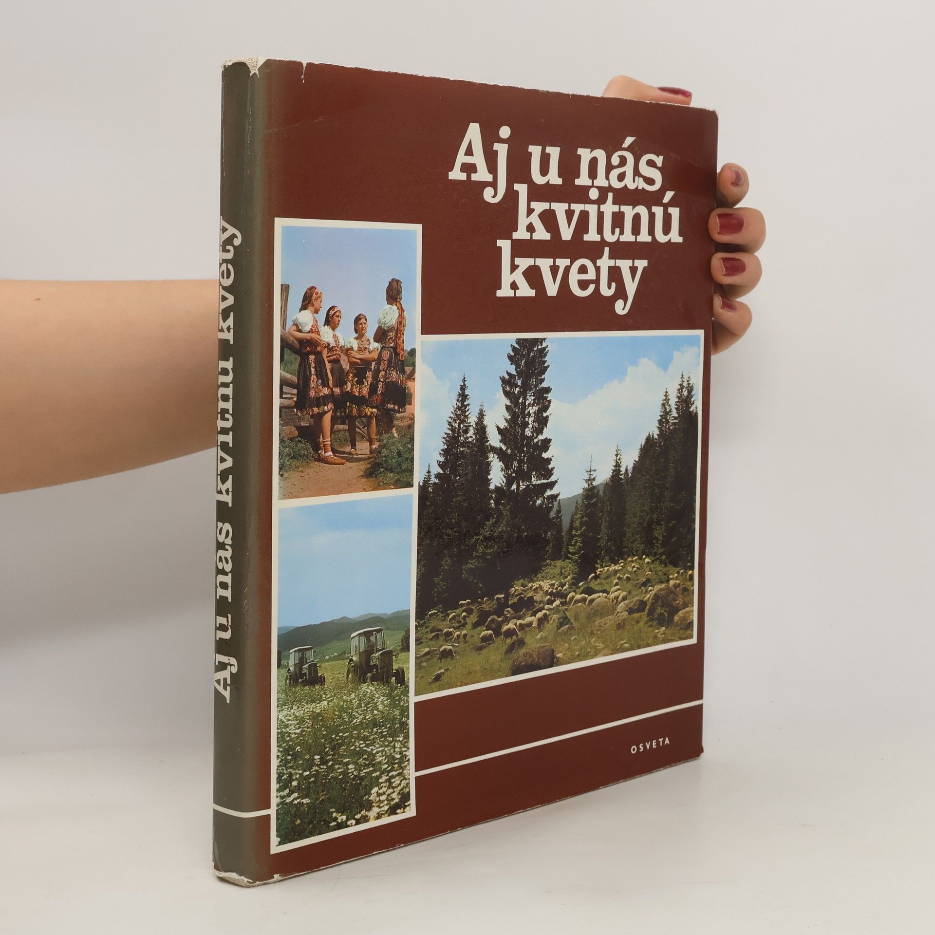 Autorenkollektiv Aj u nás kvitnú kvety