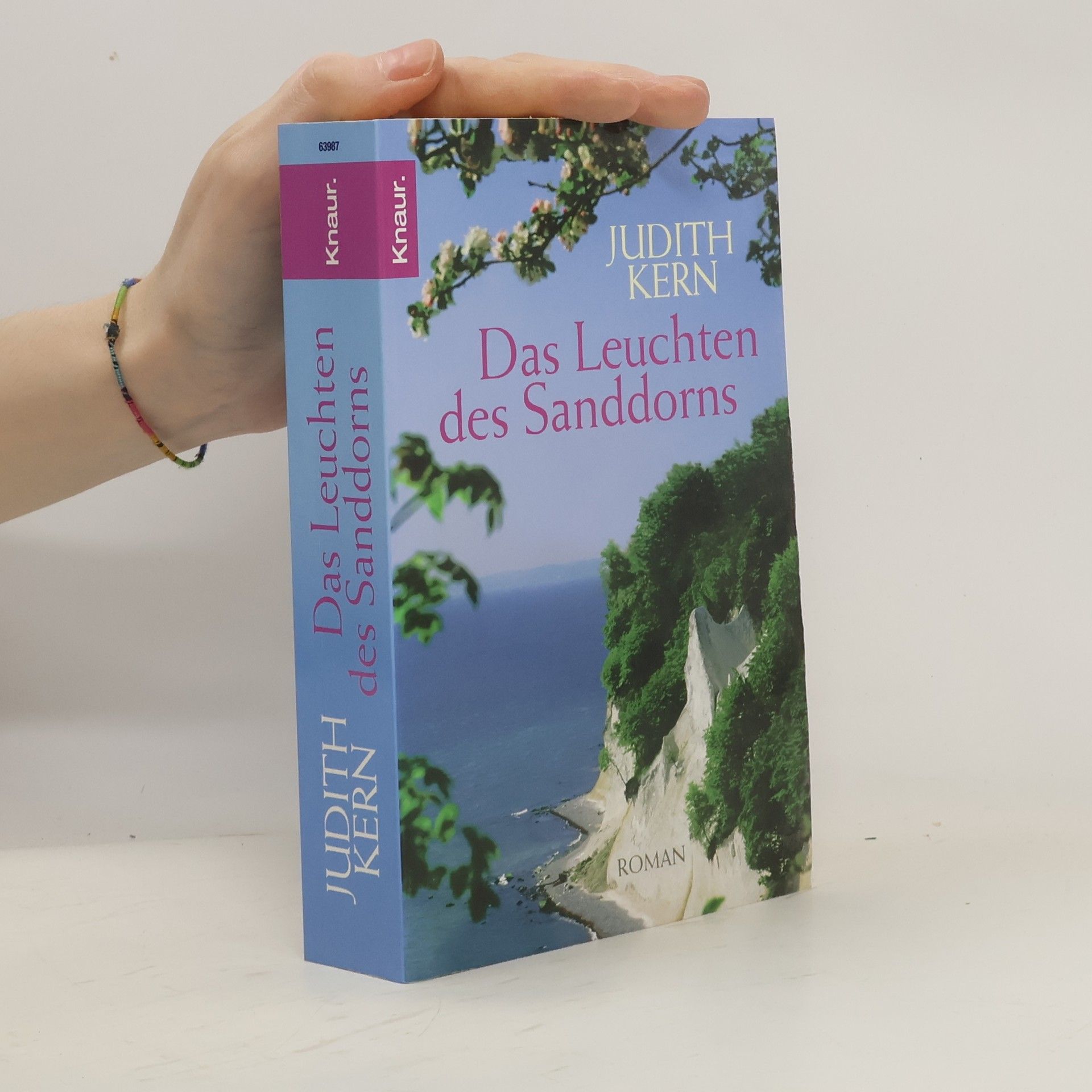 Judith Kern Das Leuchten des Sanddorns