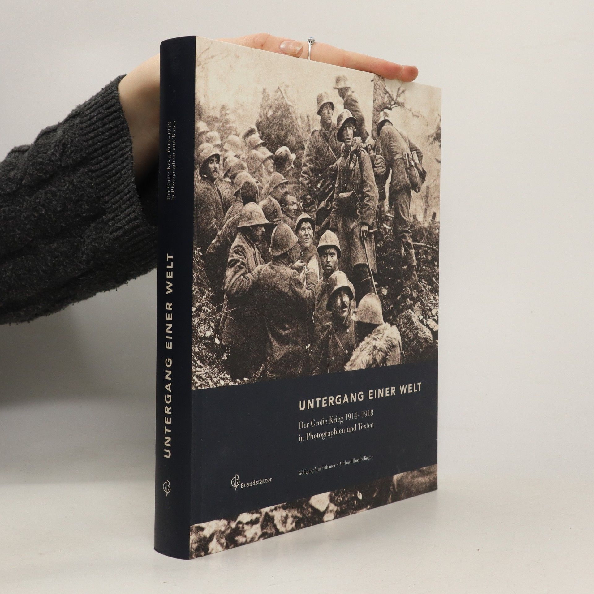 Wolfgang Maderthaner Untergang einer Welt