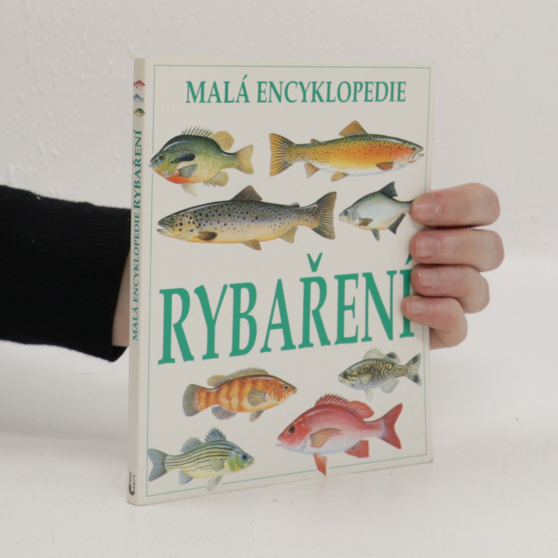 Autorenkollektiv Malá encyklopedie rybaření