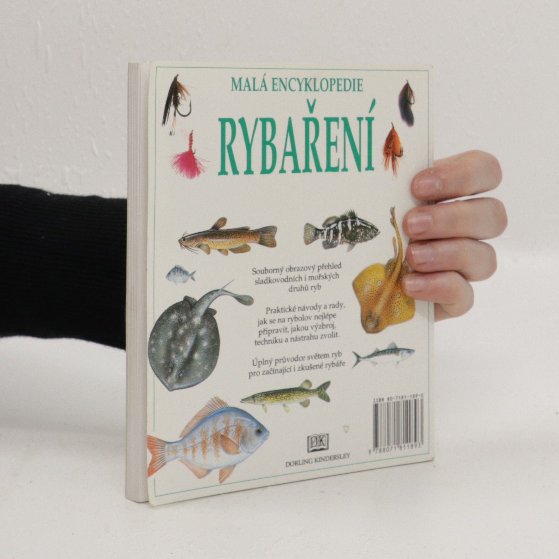 Autorenkollektiv Malá encyklopedie rybaření